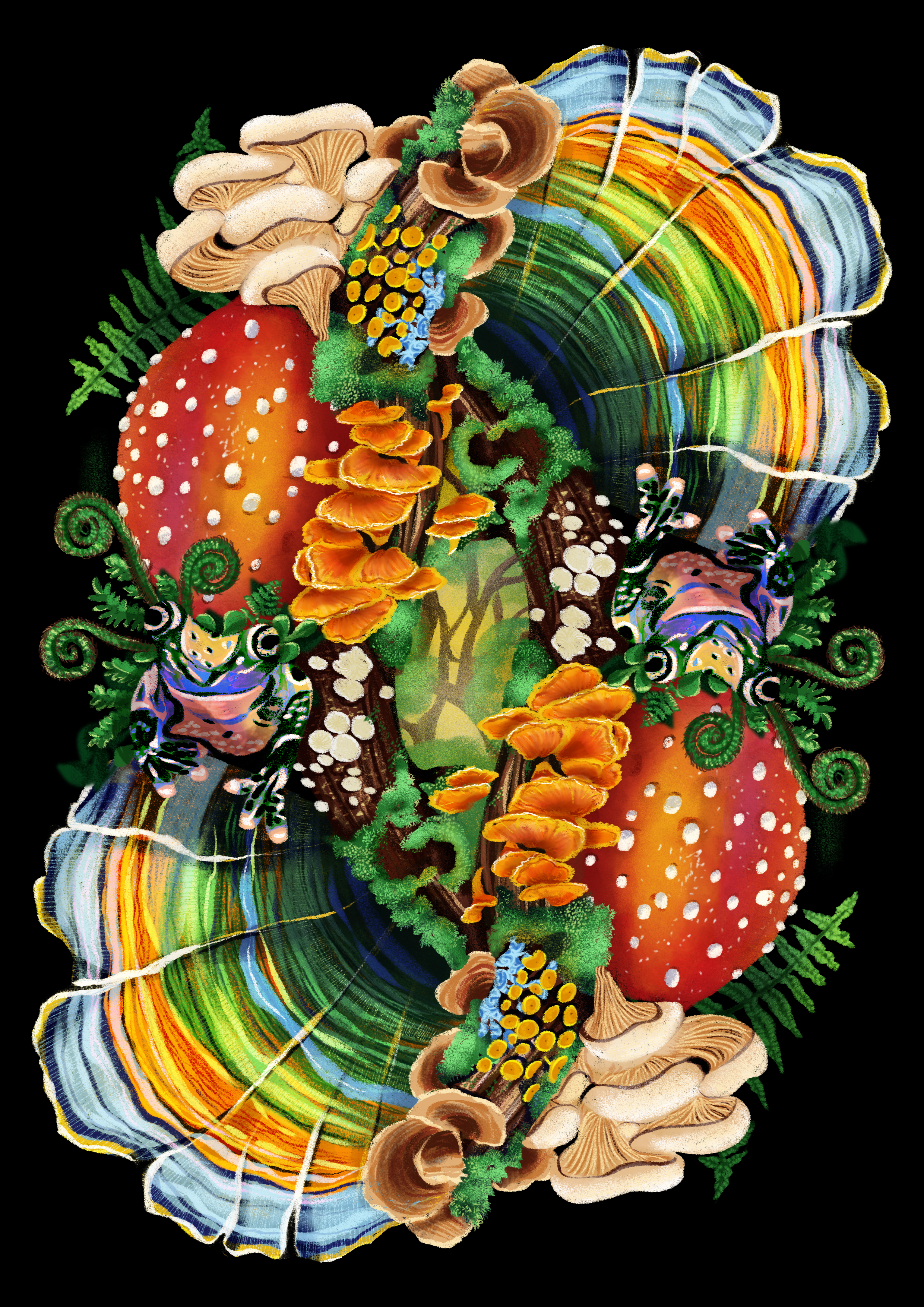 Vibrant, textured symmetrical illustration showing a frog, many different types of mushroom, mushroom caps, and a distant foggy forest