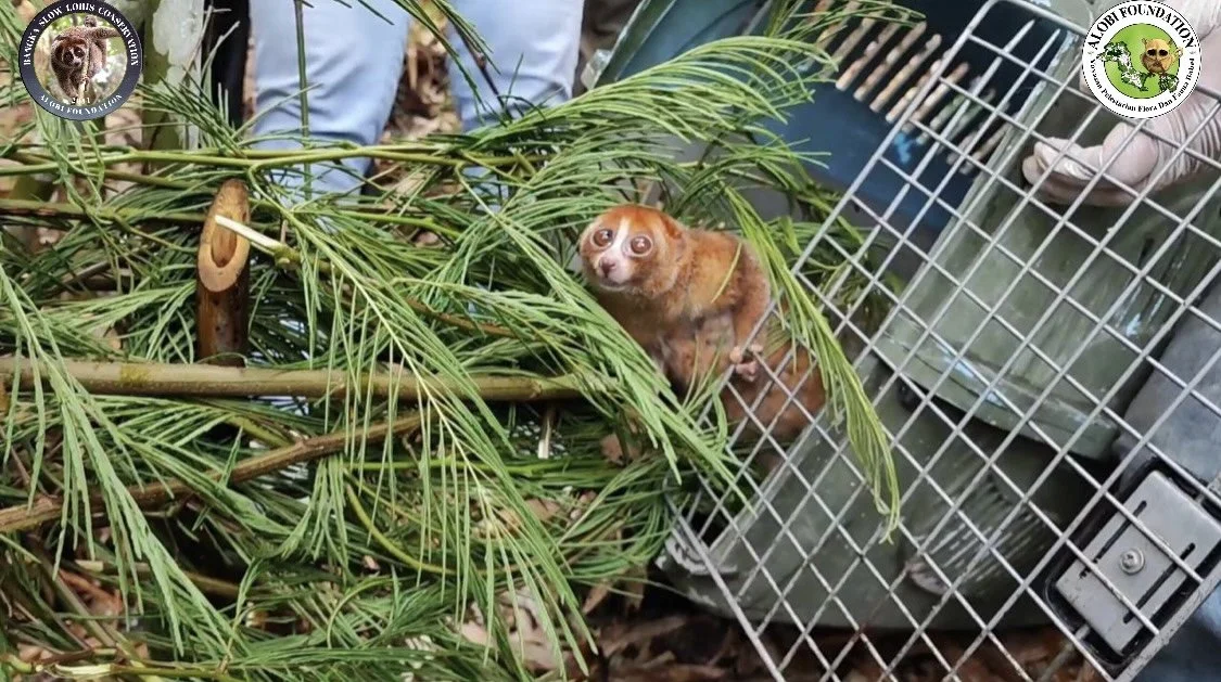South Sumatra – Pulau Bangka Rescue Centre Program