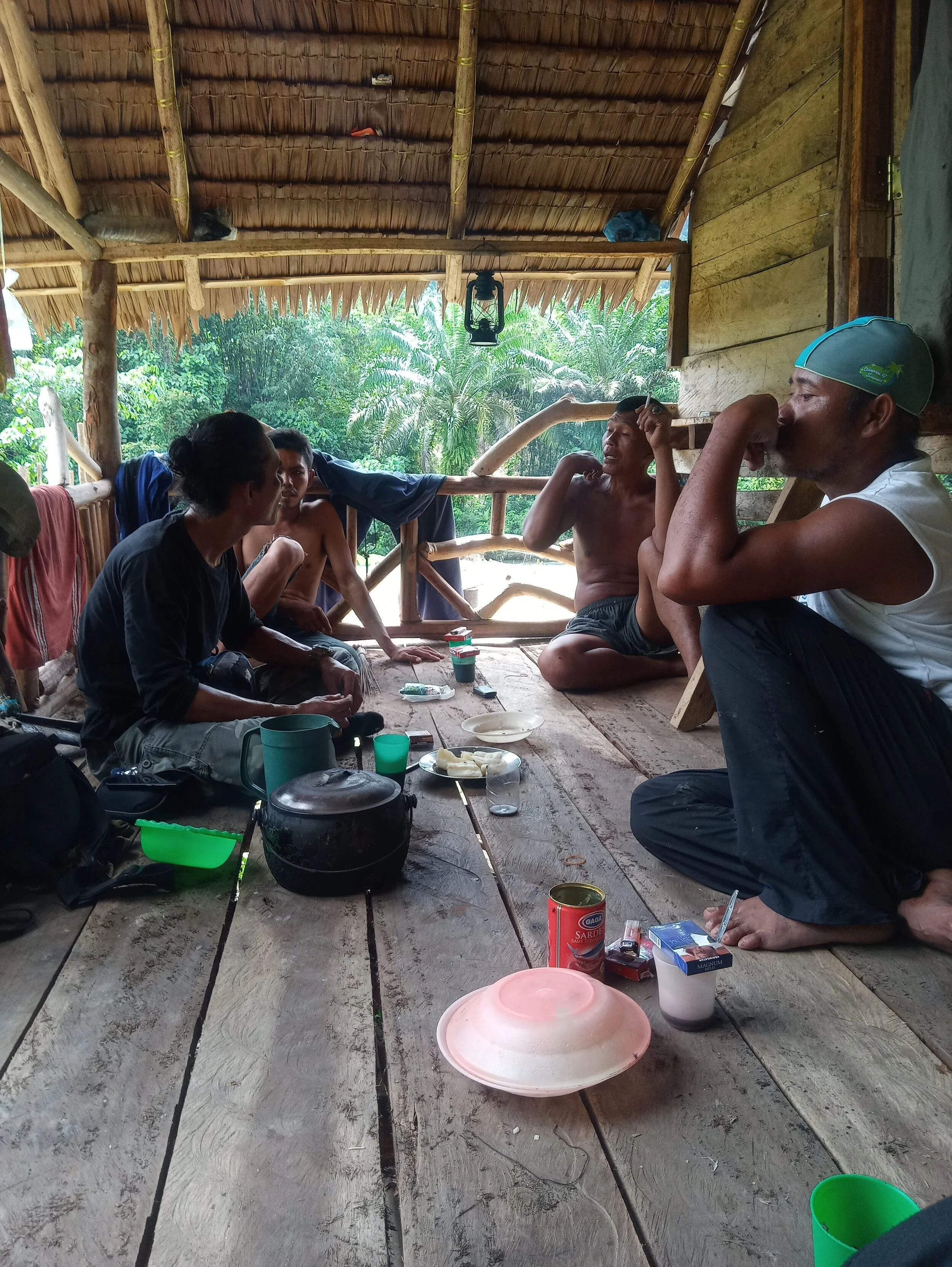 Tiger conflict with farmers around Gunung Leuser National Park
