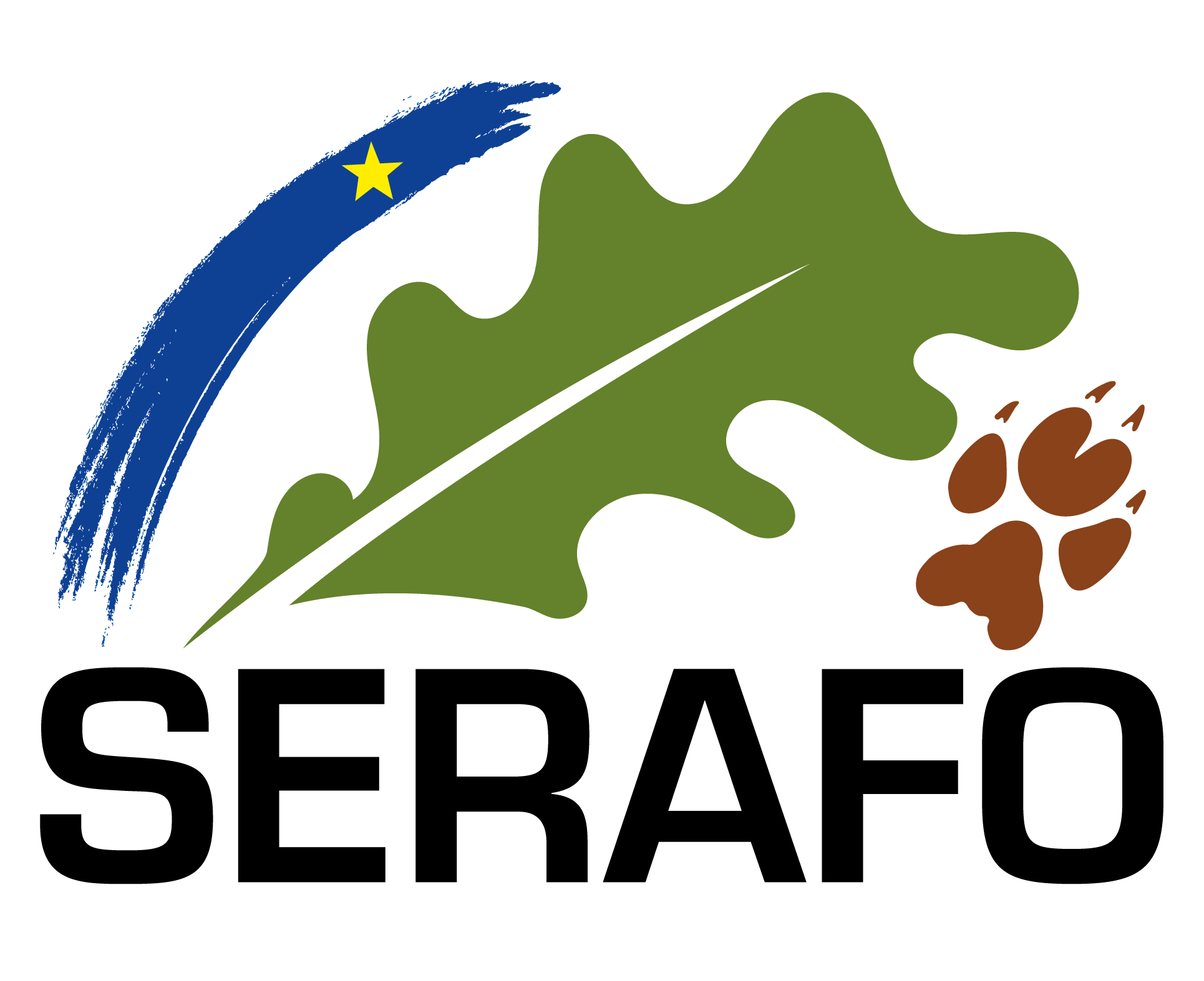 AF_Logo_SERAFO_2022_02 PNG.png