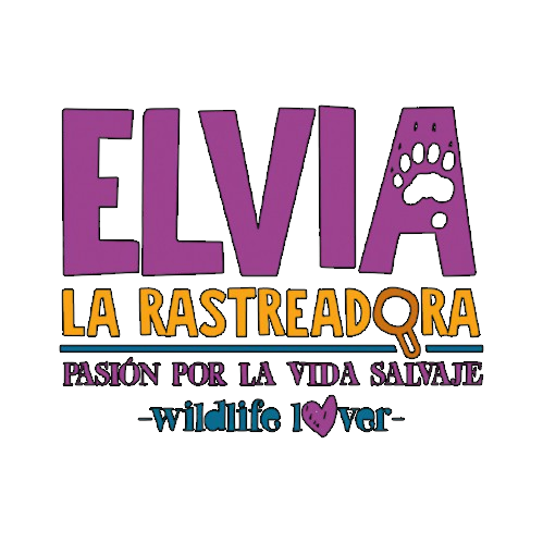 Logos sin fondo- IVAN (2).png