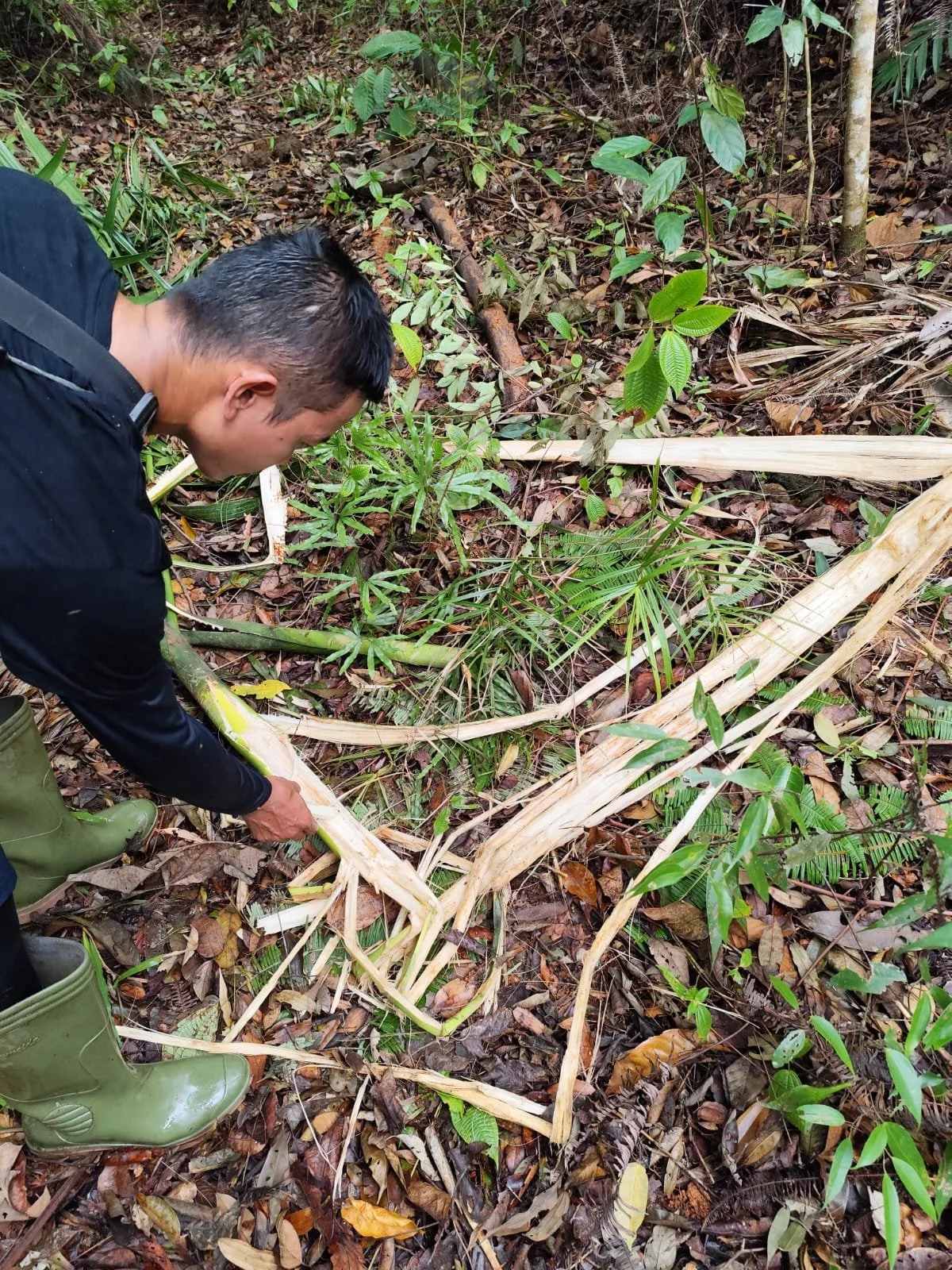 WhatsApp Image 2026-01-27 at 16.20.44 (1).jpeg