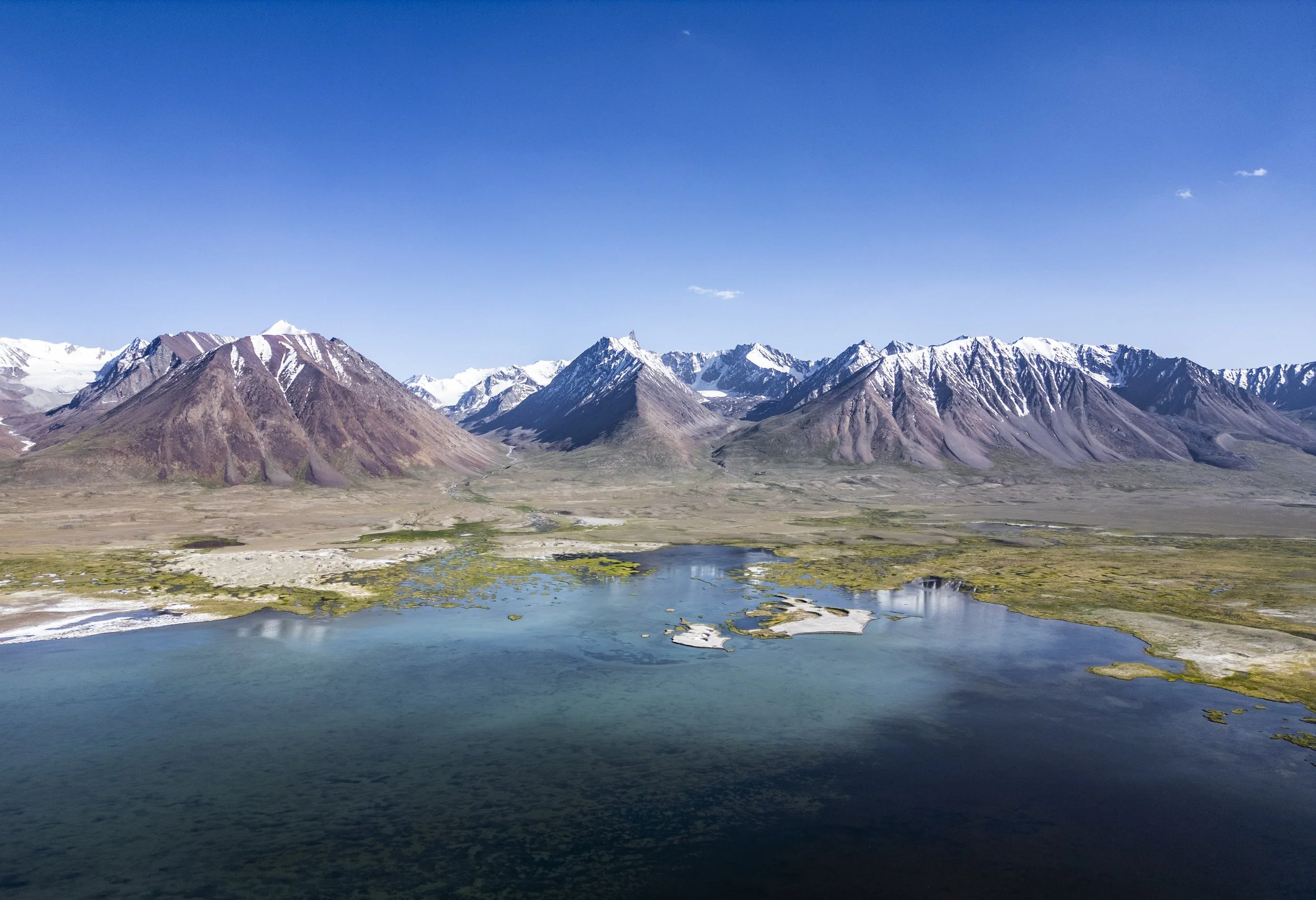 above-10.jpg