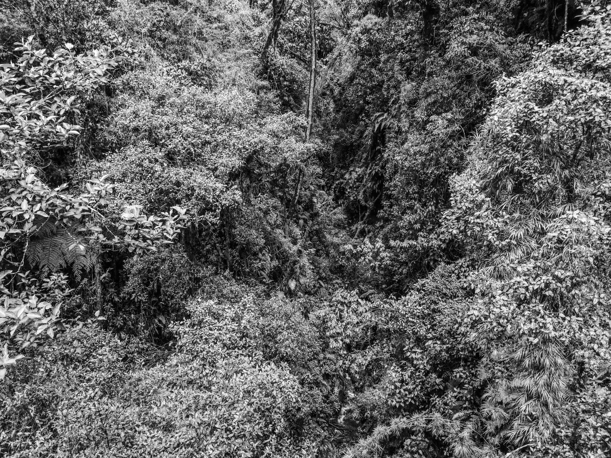 VISUAL AMAZONIA-20.jpg