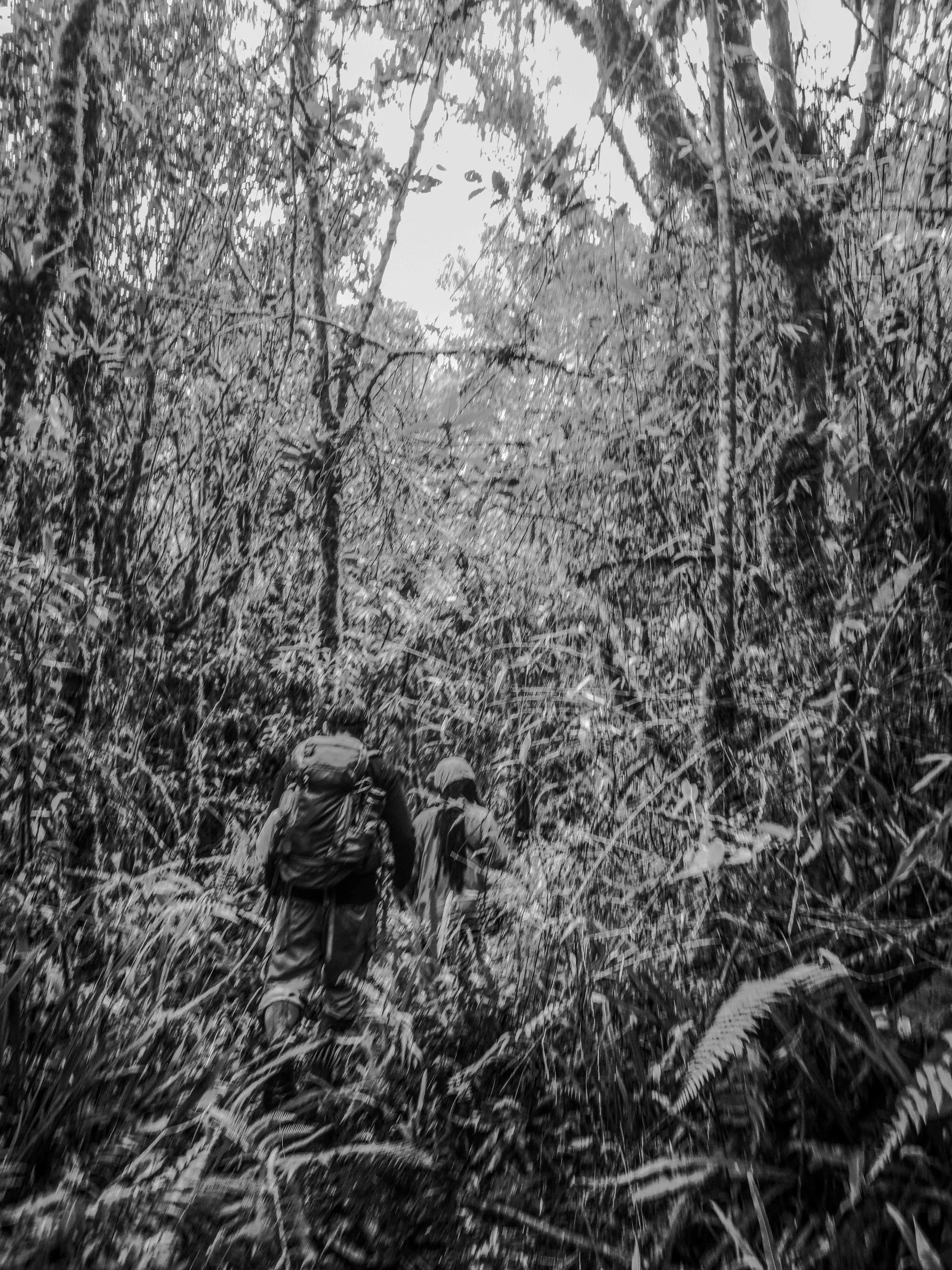 VISUAL AMAZONIA-9.jpg