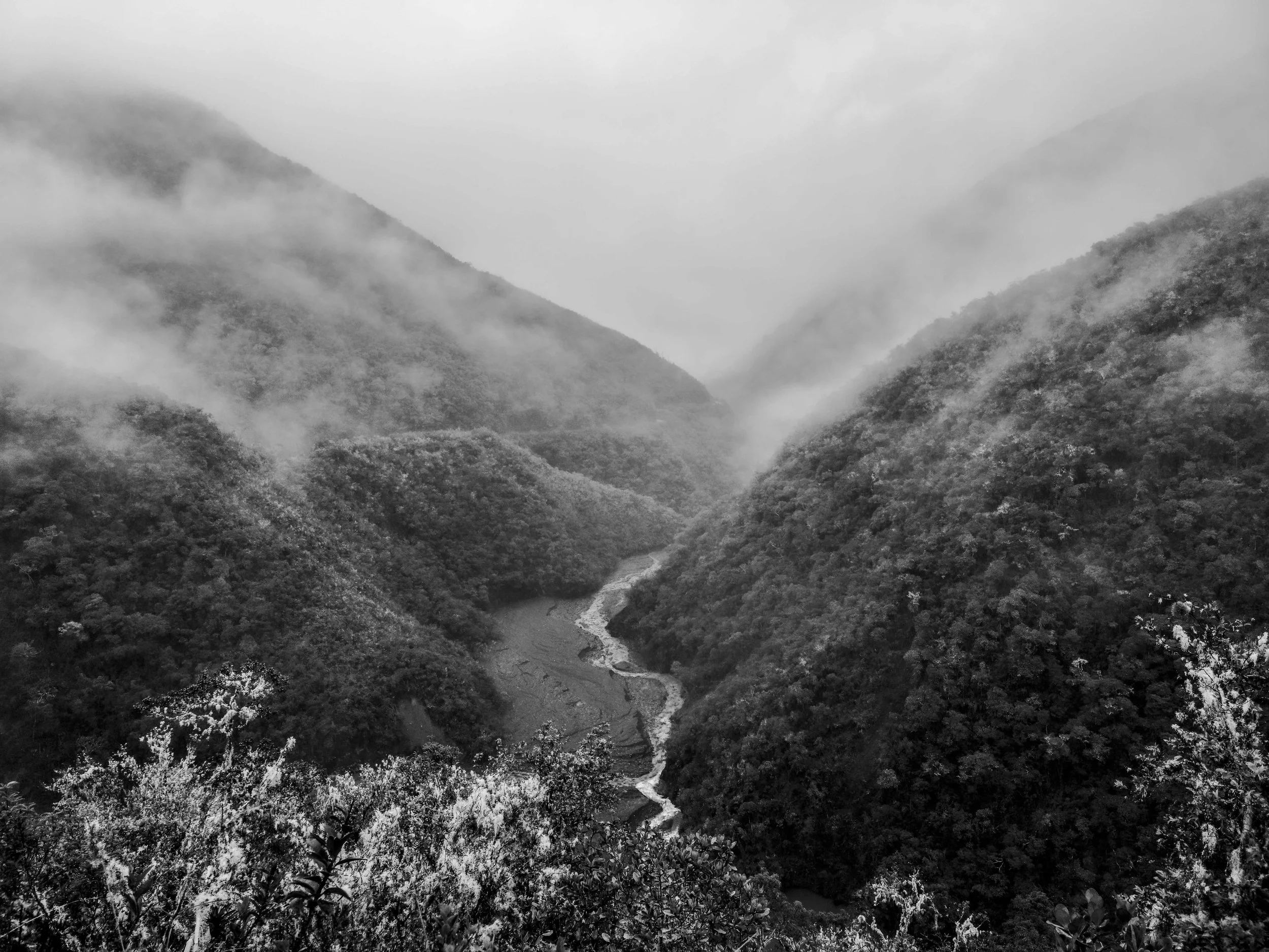 VISUAL AMAZONIA-22.jpg