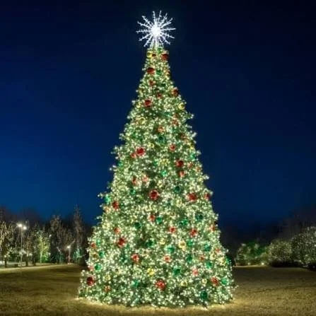 Cheshire Tree Lighting (Bartlem Park)