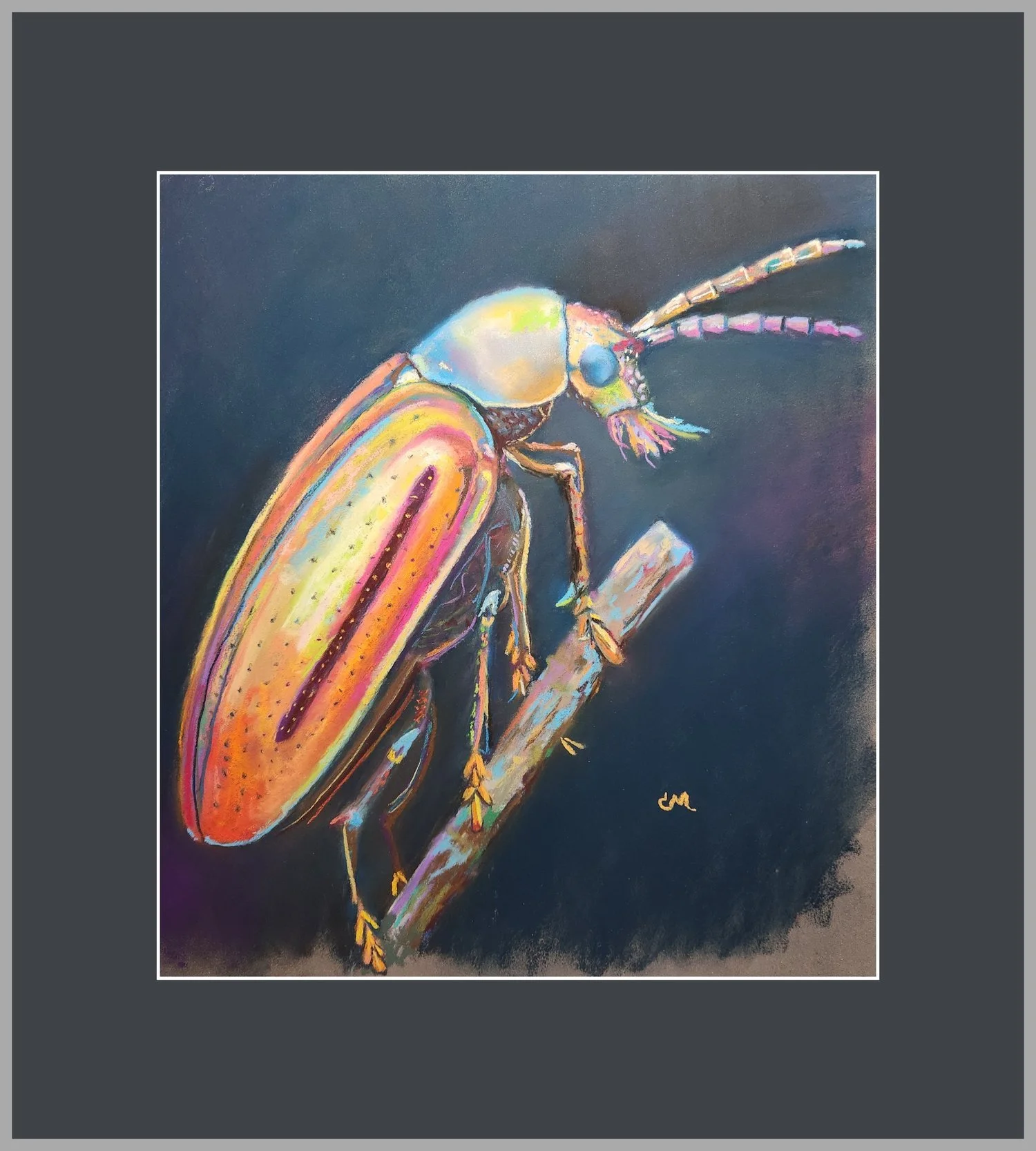 13×12″  Soft pastel · Unframed · $350