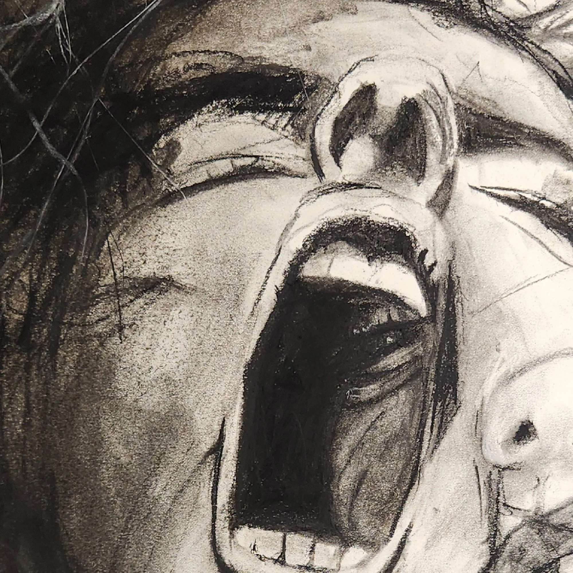 02-detail-screaming-face.jpg (Copy)
