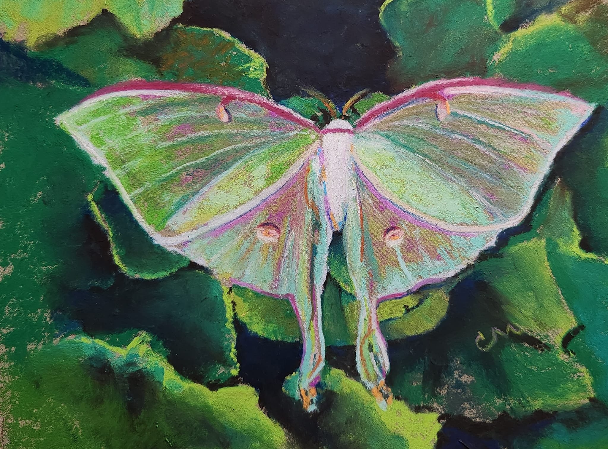 Luna Moth - 10x8"