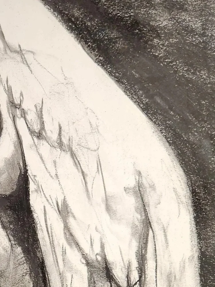 Charcoal detail from Fallen