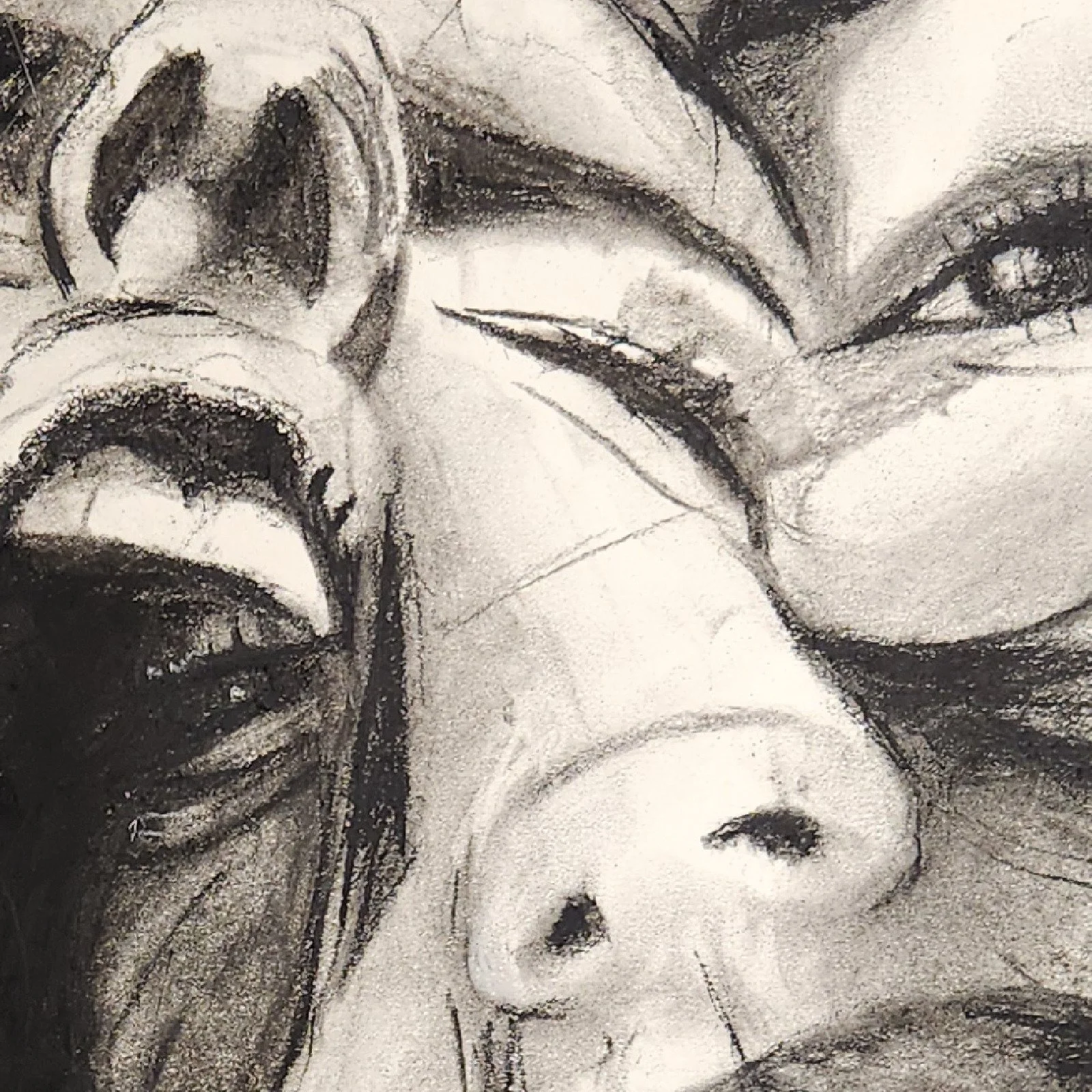 04-detail-where-faces-merge.jpg (Copy)