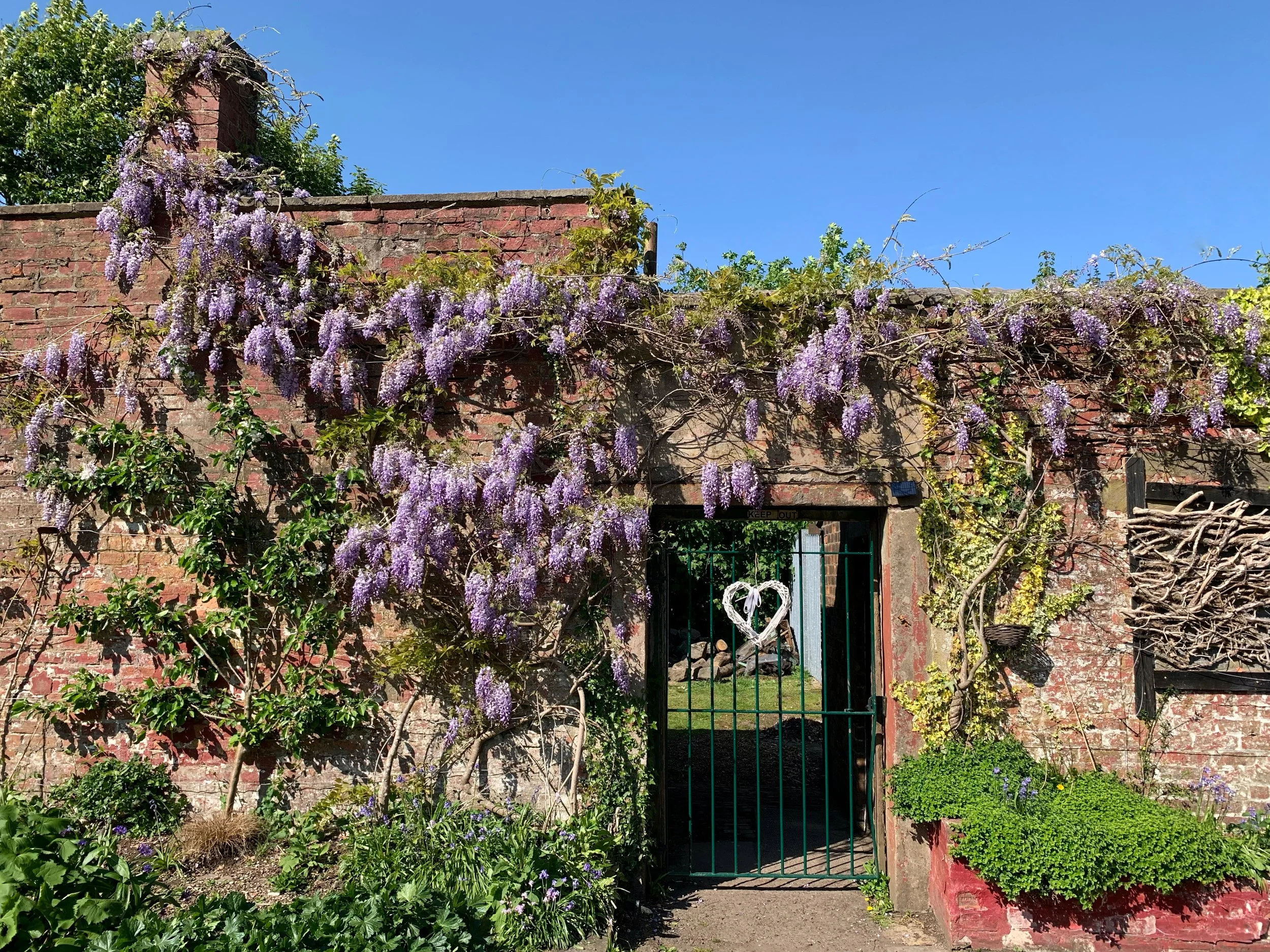 May2026 - Russell Jones.jpeg