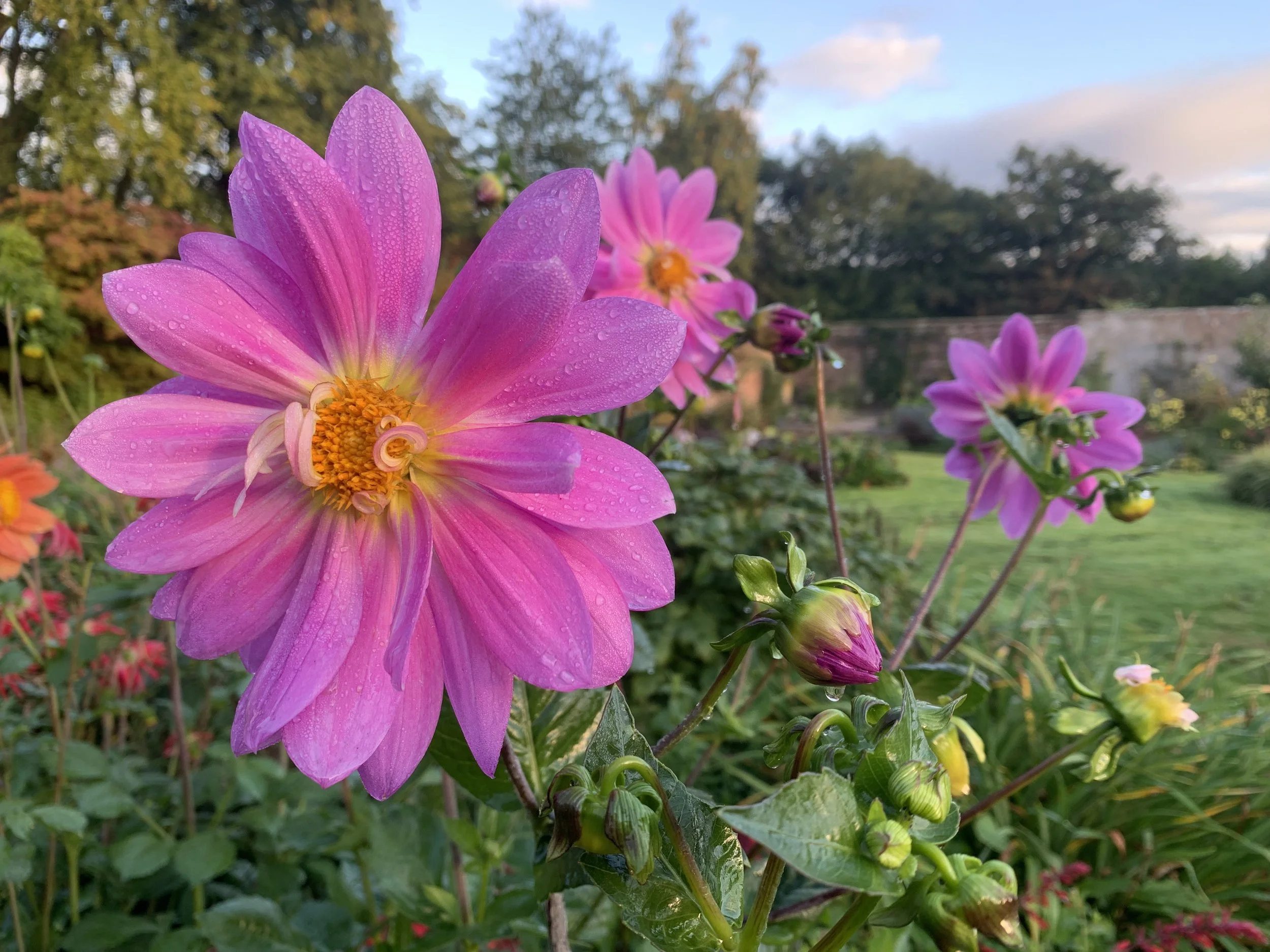 September 2024 - Russell Jones.jpeg