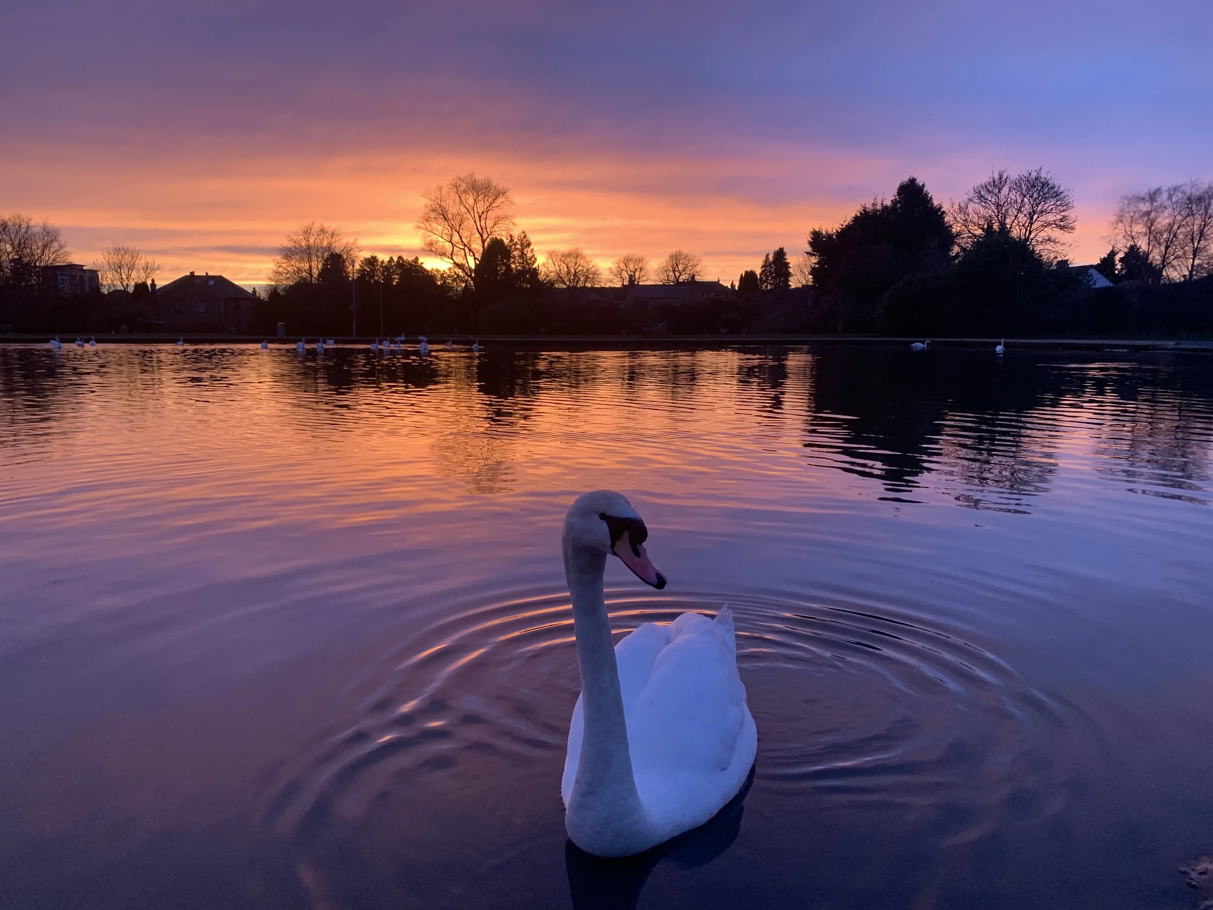 March 2024 - Russell Jones.jpeg