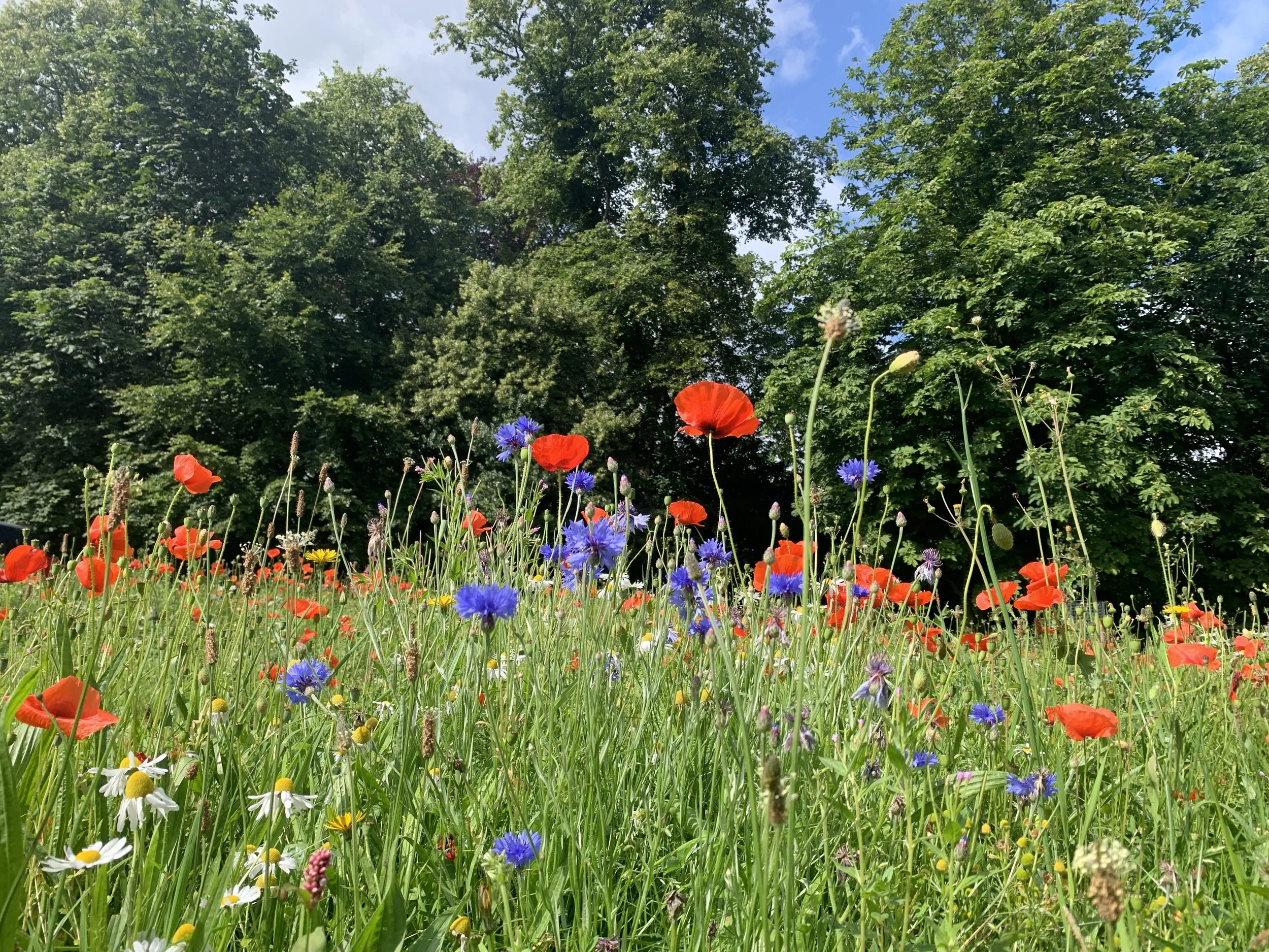 August 2024 - Russell Jones.jpeg