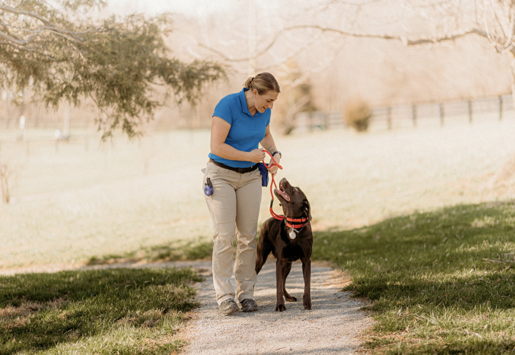 danielle training brown lab.png
