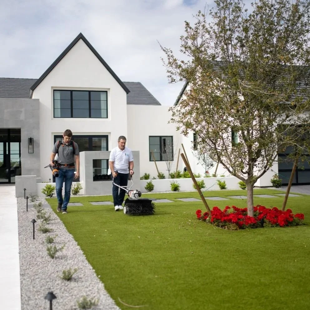 Edge Repair Mistakes That Shorten the Life of Your Turf