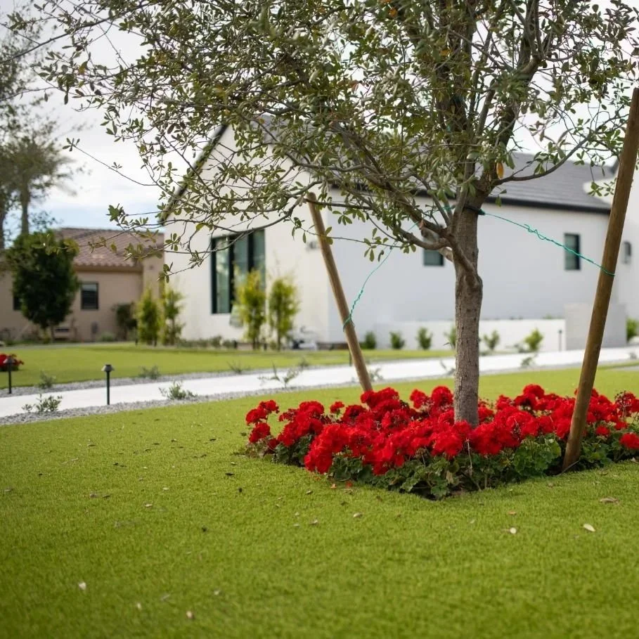 debris removal arizona