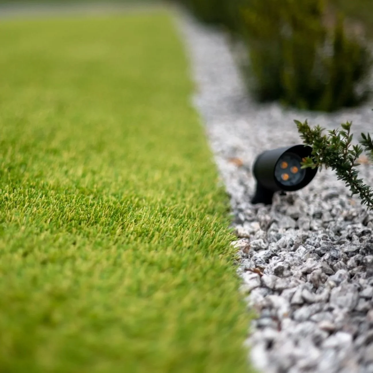 How Pet-Friendly Turf Cleaning Eliminates Urine Smells for Good