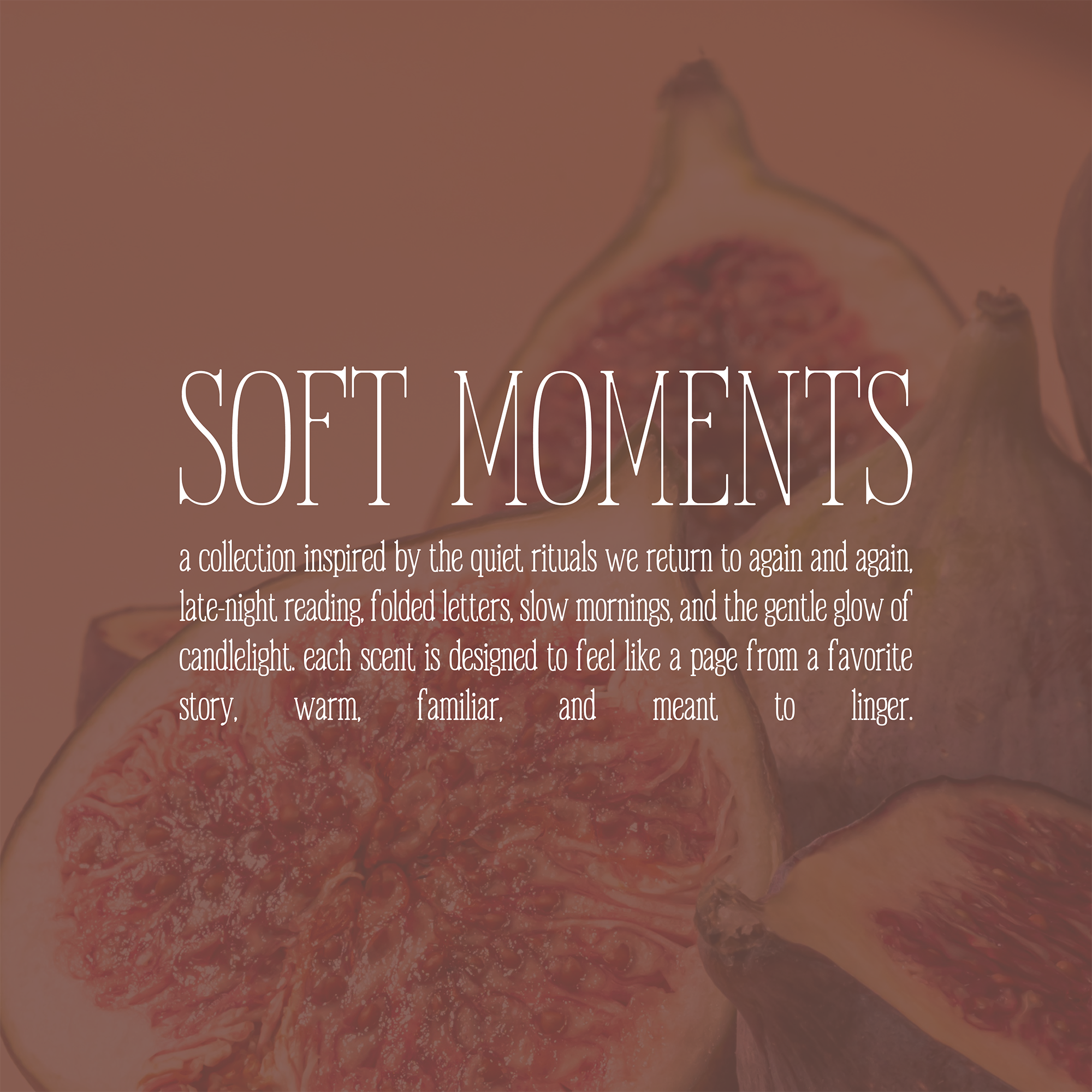 Chapter House By Courtney Gosser Design-10.png