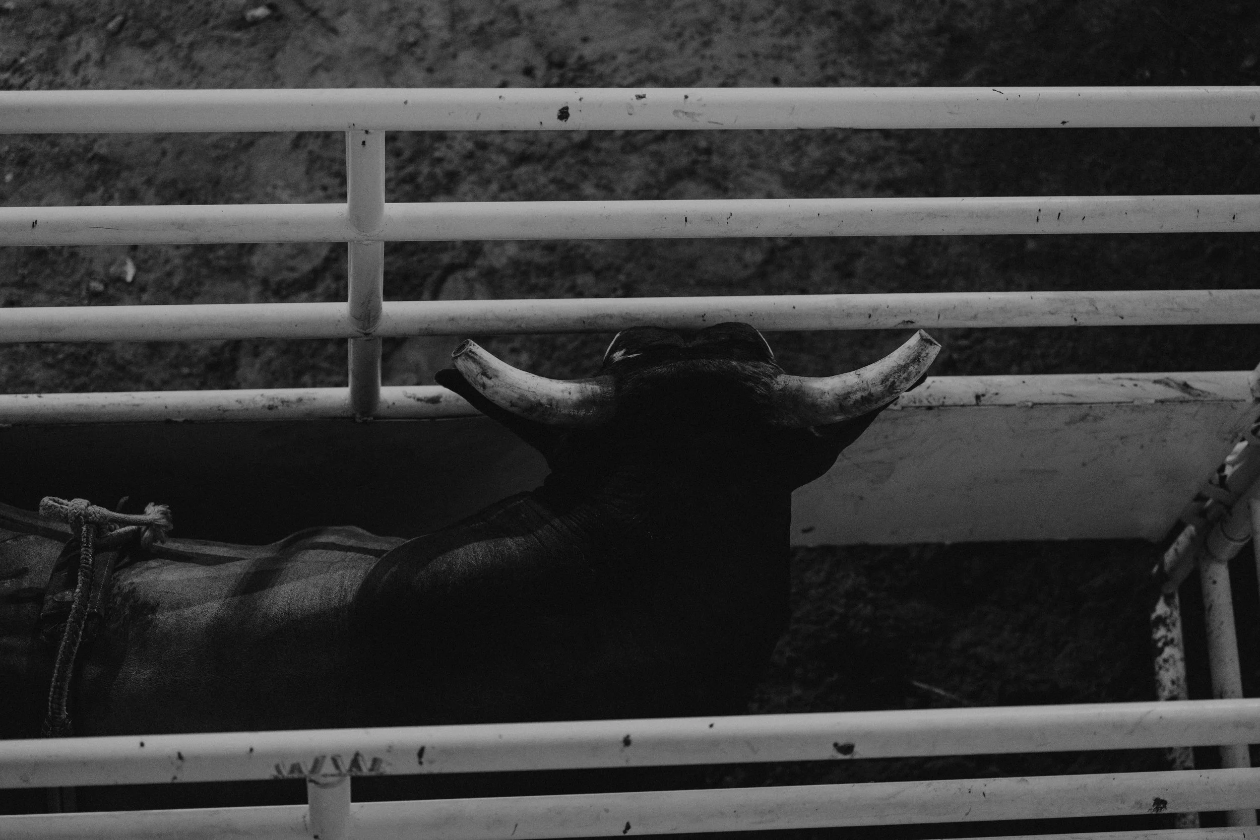 Big Spring Cowboy Reunion and Rodeo