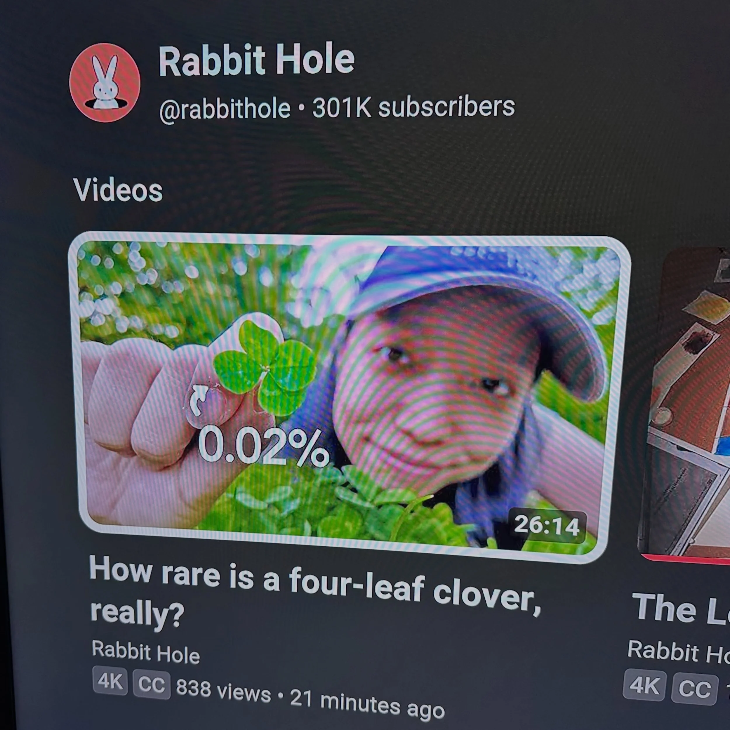 THRILLED to share a 🍀 YouTube documentary I was a part of, which just dropped! It&rsquo;s AMAZING! Emily (Rabbit Hole) reached out to me earlier this year and I trained her to hunt four leaf clovers back in May. She does many science documentaries, 