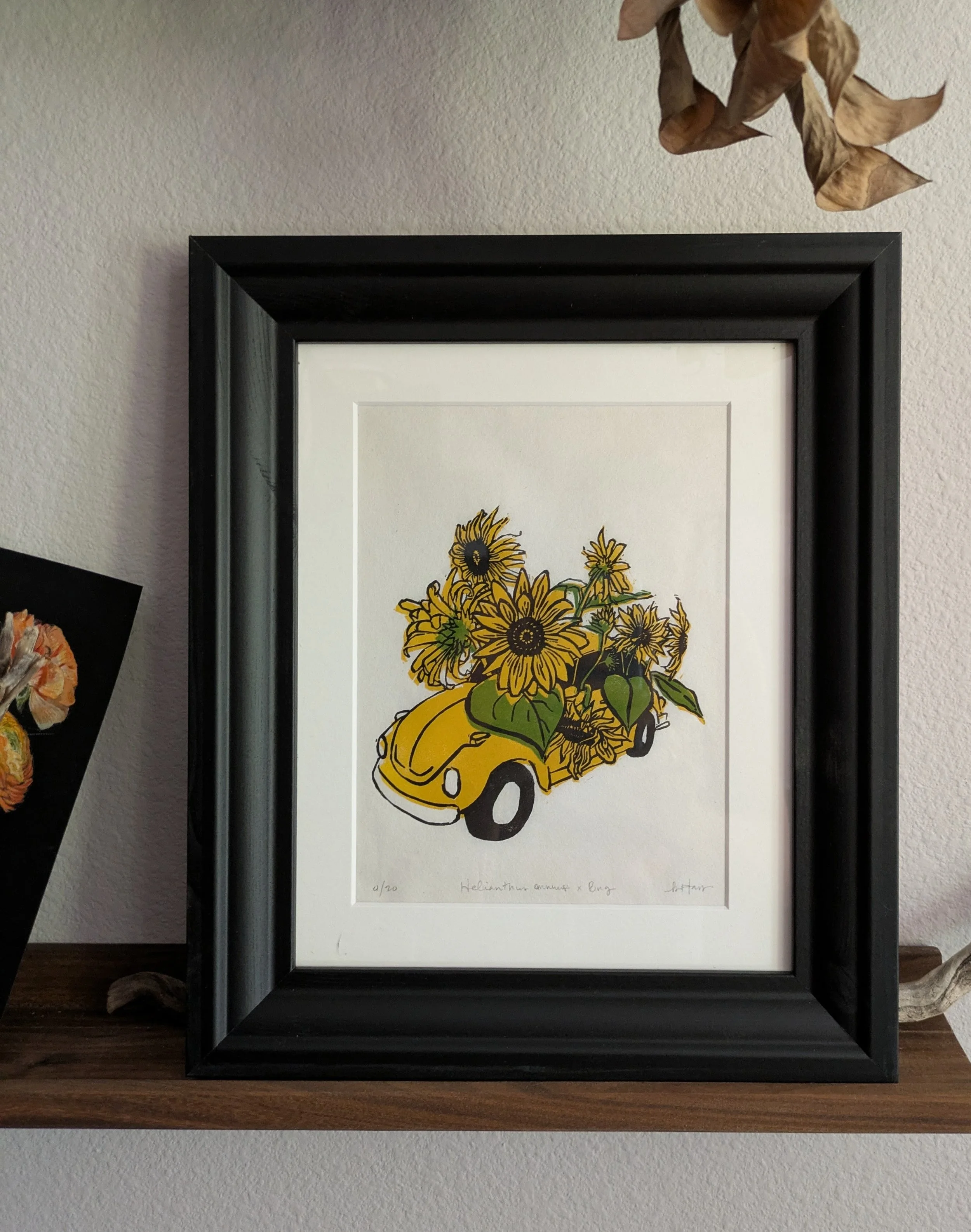 PXL_20250902_185513846.RAW-01.MP.COVER (1).jpg