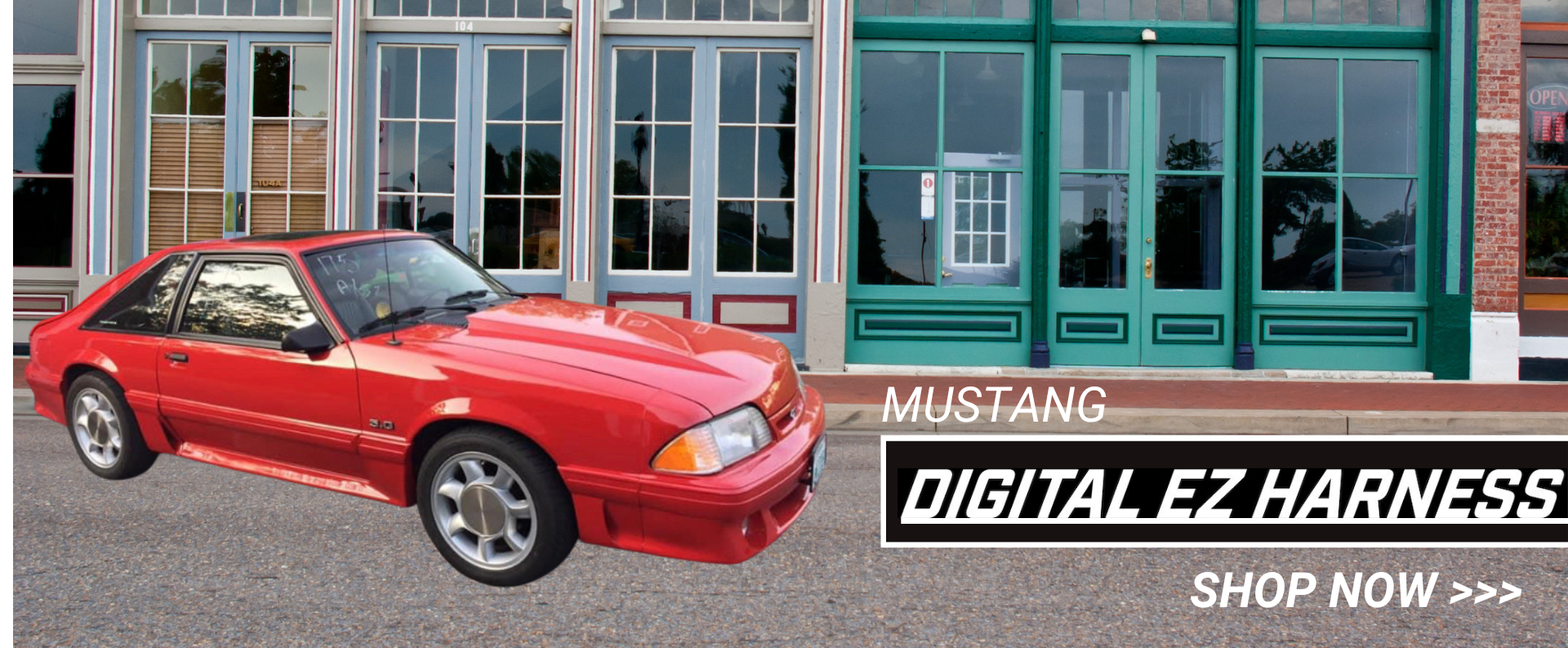 MUSTANG-2.png