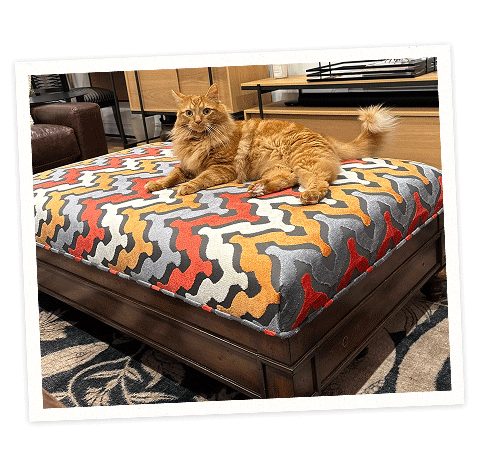 Fluffy orange cat lounging on a colorful patterned ottoman in a living room