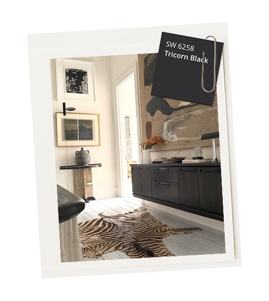 Modern black sideboard in a stylish living room with framed artwork, decorative pottery, and a zebra-print rug