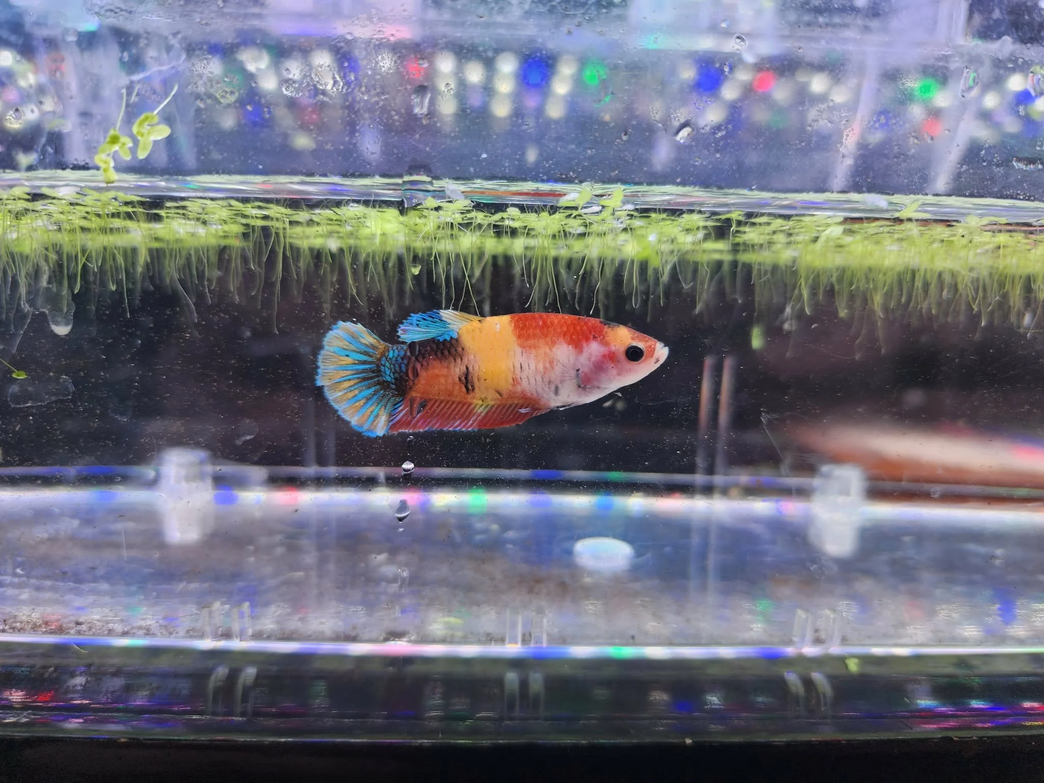 dee75343-7cd5-459a-9d34-cf0156eafe87.jfif