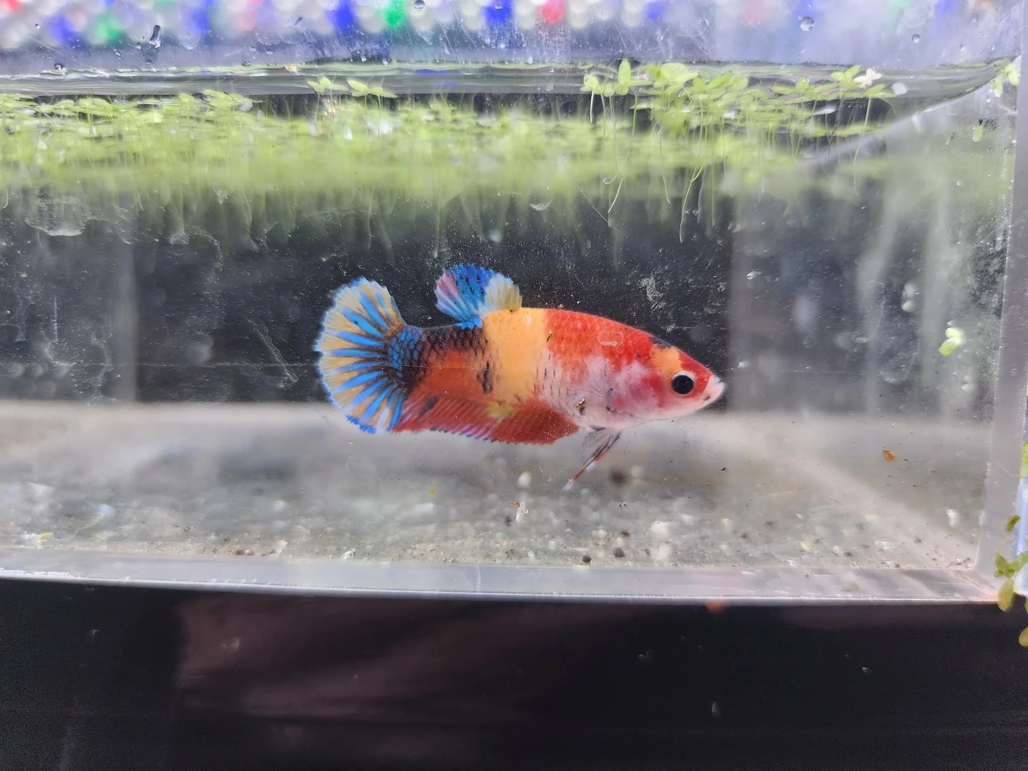 7a9e8670-dd30-48c0-9244-c0455a34c04b.jfif