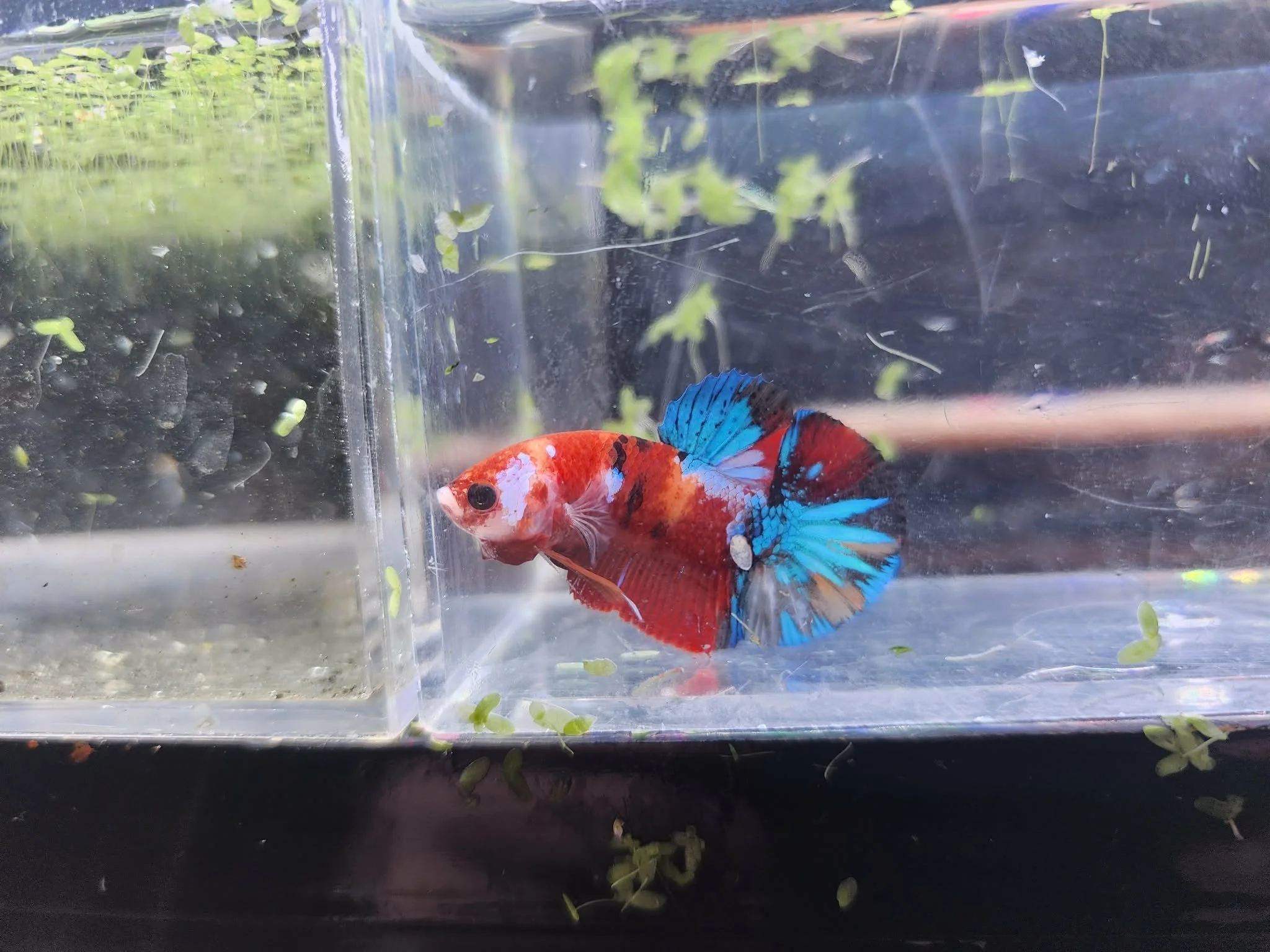 02cd2d2b-29d7-4ffb-9821-32d5d57abe2a.jfif