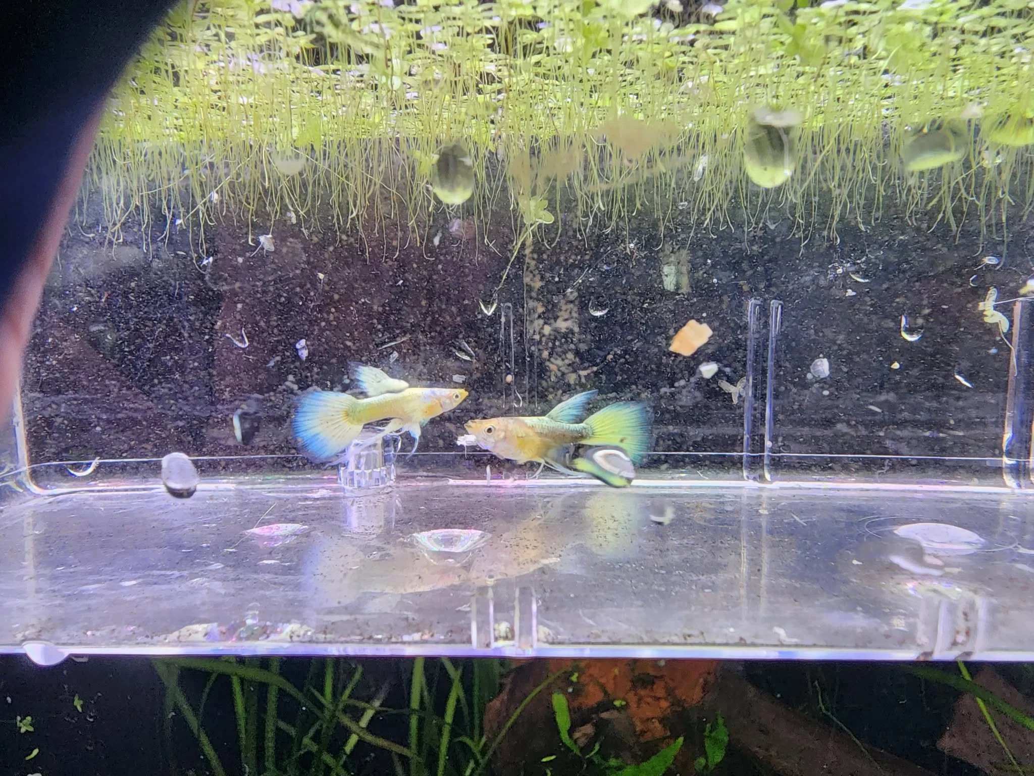 413f2d26-be38-4de4-b120-f90cd6e489ca.jfif