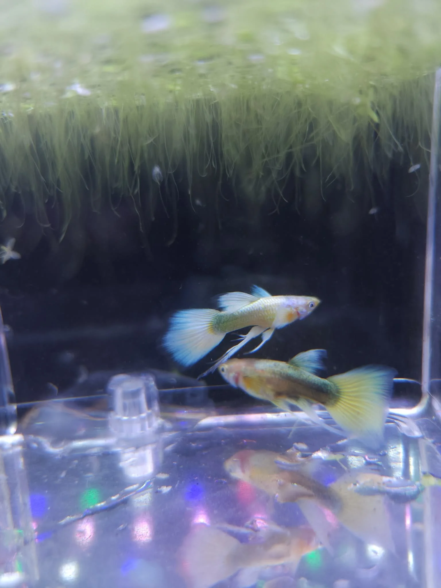 db4adb69-a200-4a8b-a39e-f0ed4261a1a9.jfif