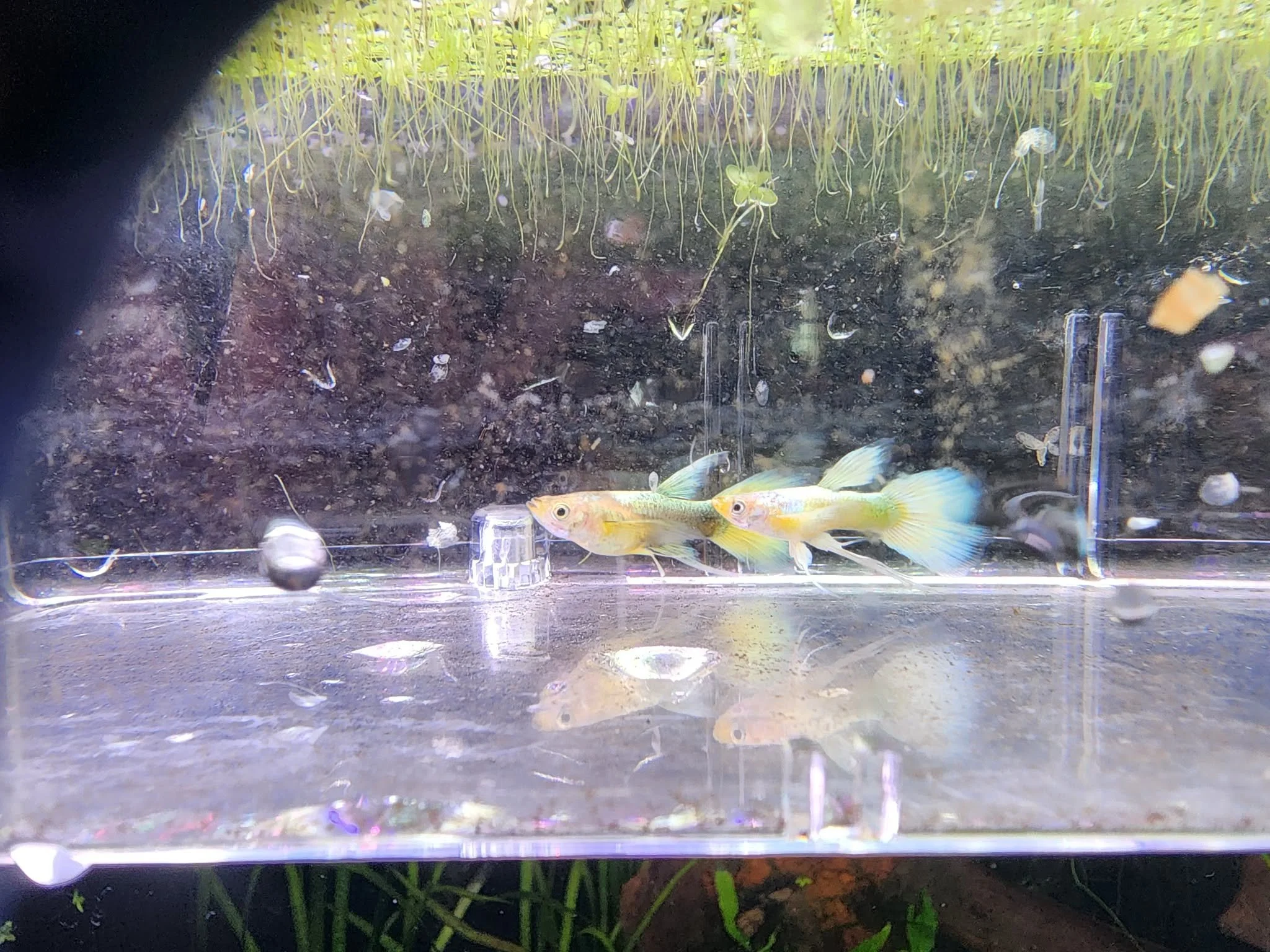 b8cee653-e346-4c39-8830-a26b95018433.jfif