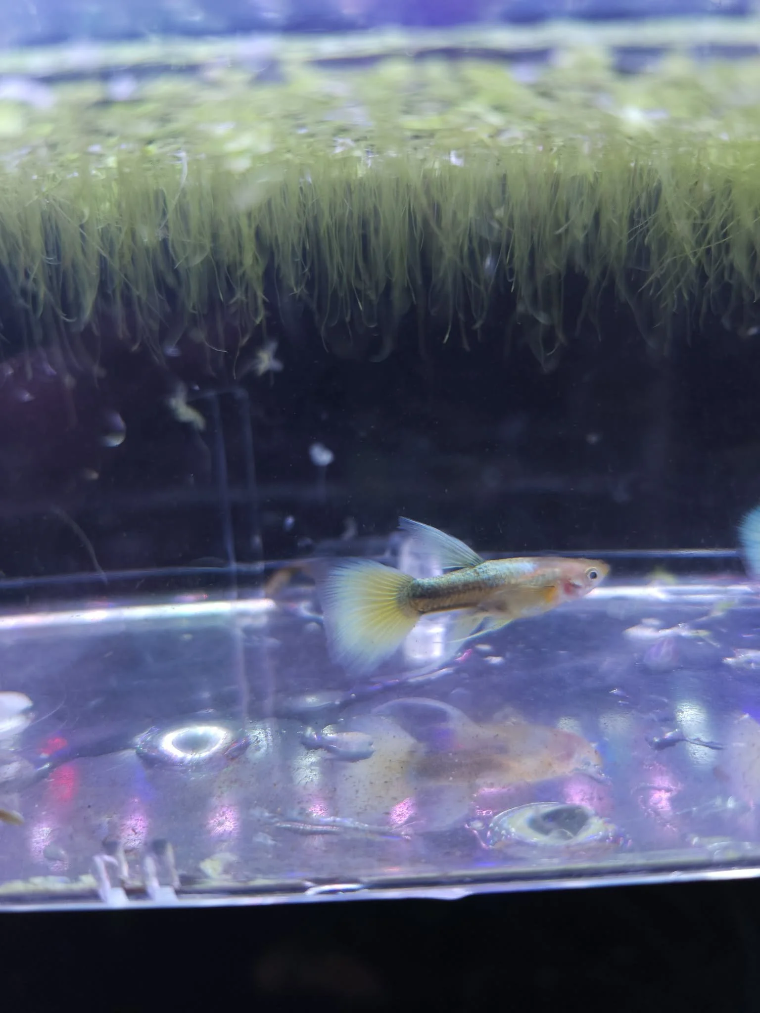 f33e0b88-e7b8-4a06-9ac1-283fe3e06bb7.jfif