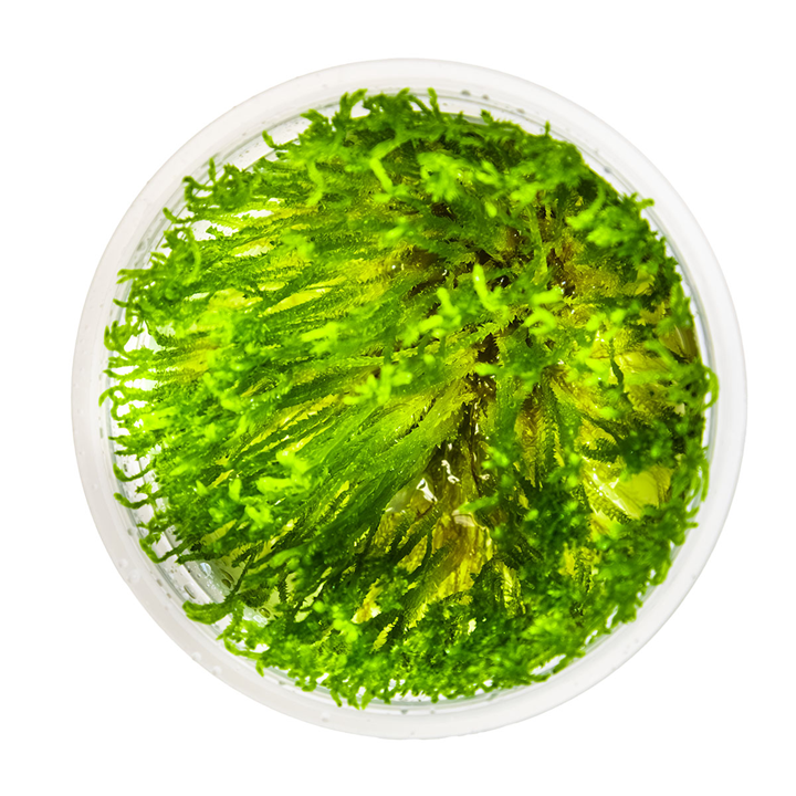 3 (11).png
