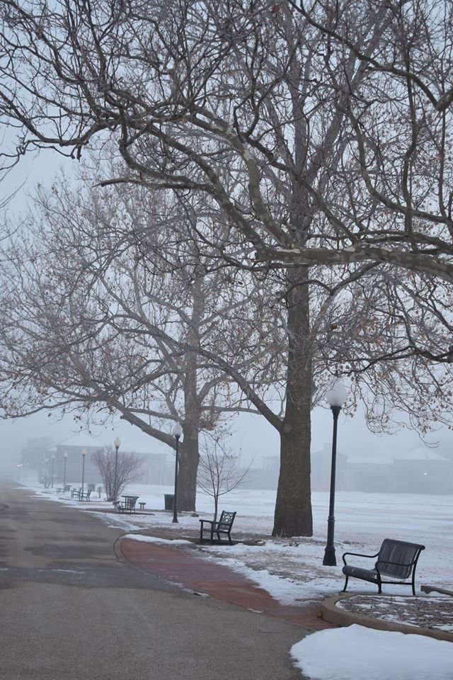 A snowy park with leafless trees, several benches along the walkway, and street lamps on a foggy day.