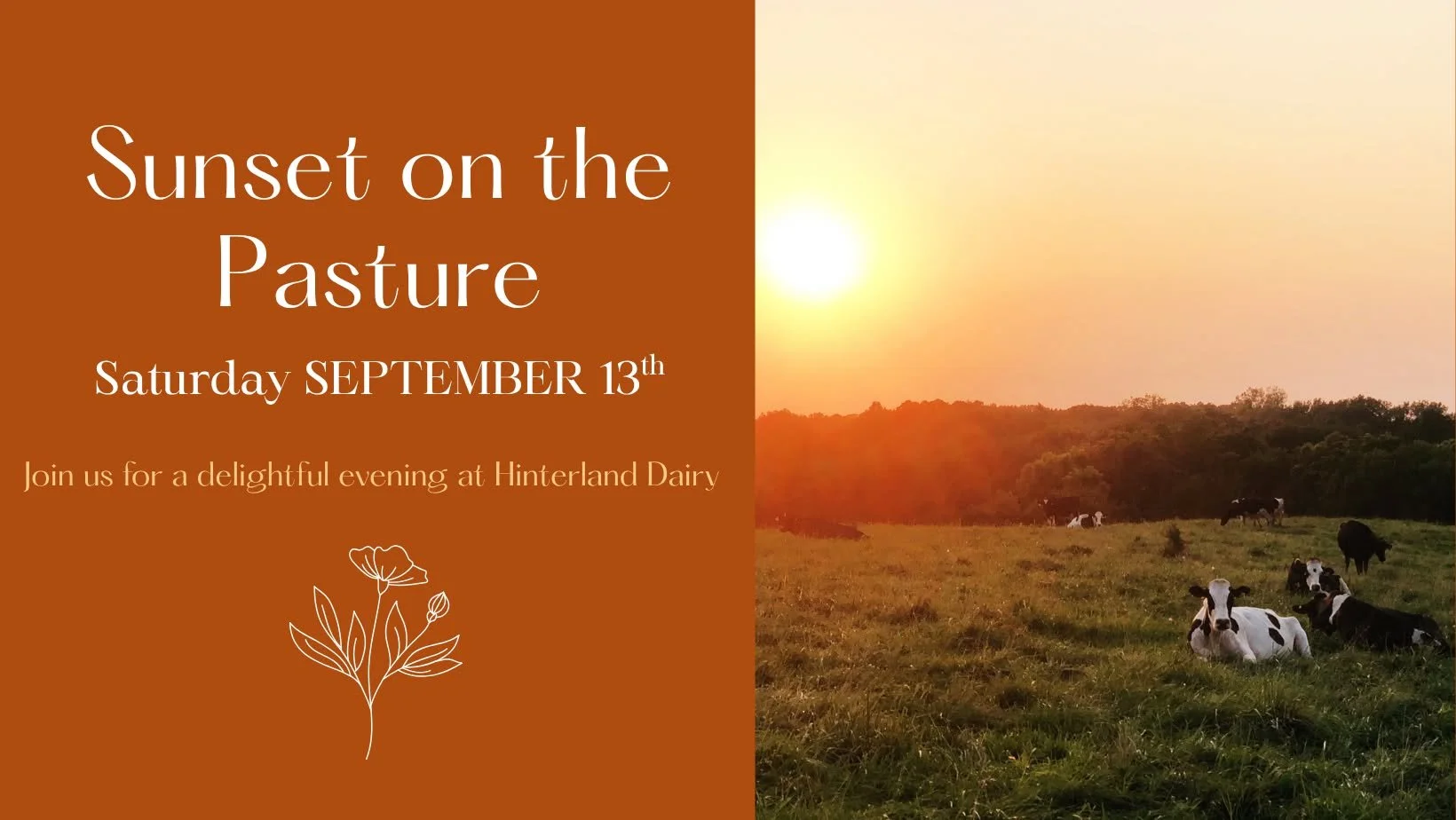 Sunset on the Pasture