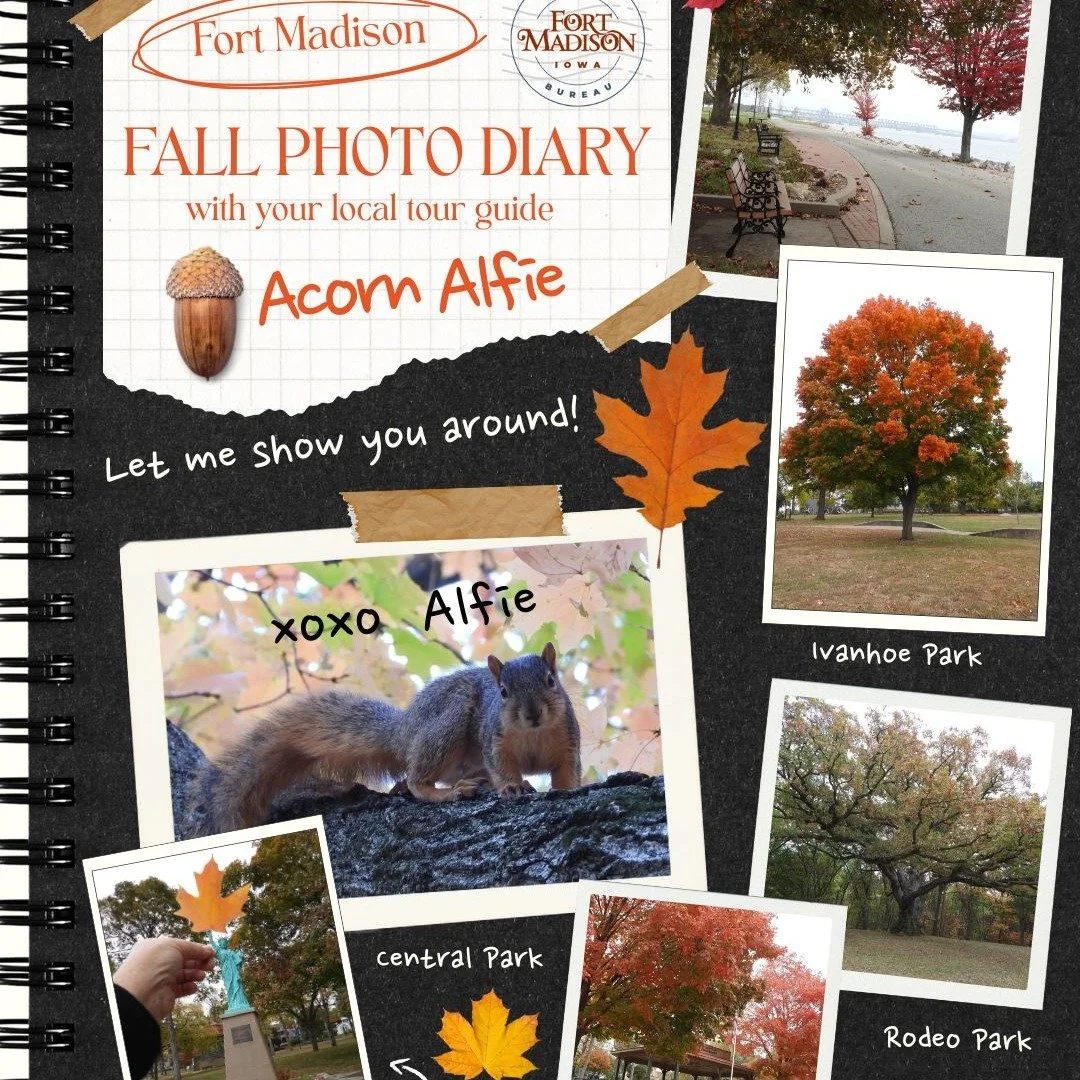 Fort Madison fall foliage tour with our local guide, Acorn Alfie!

📍Fort Madison Riverfront
📍Ivanhoe Park
📍Rodeo Park
📍Central Park

Photos provided by Jean Baxter Neuweg 

#fallfoliage #findyourfortmadison #iowa #fallcolors #squirrel