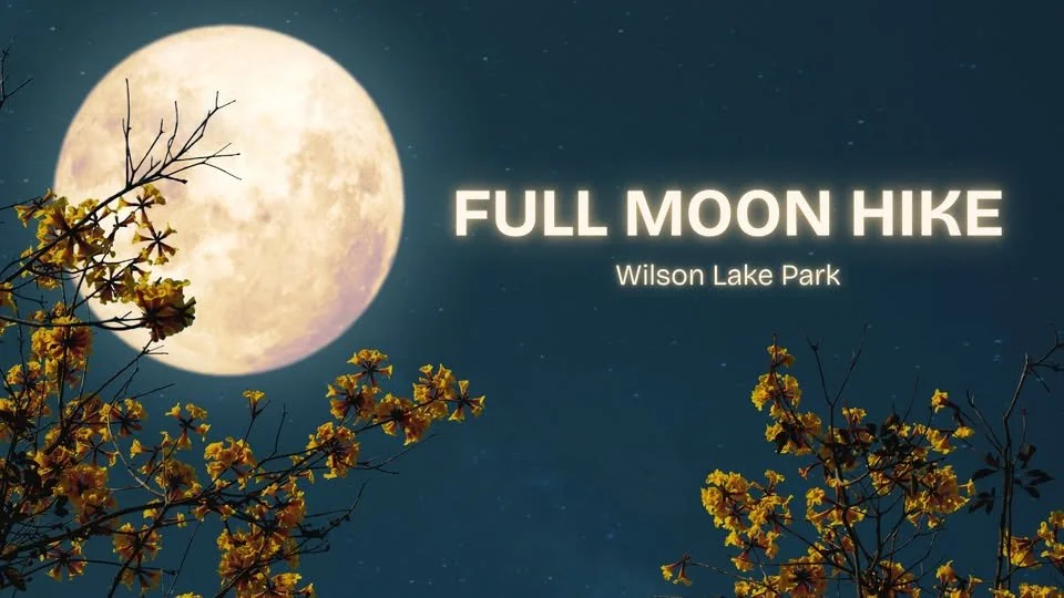 Full Moon Hike at Wilson Lake