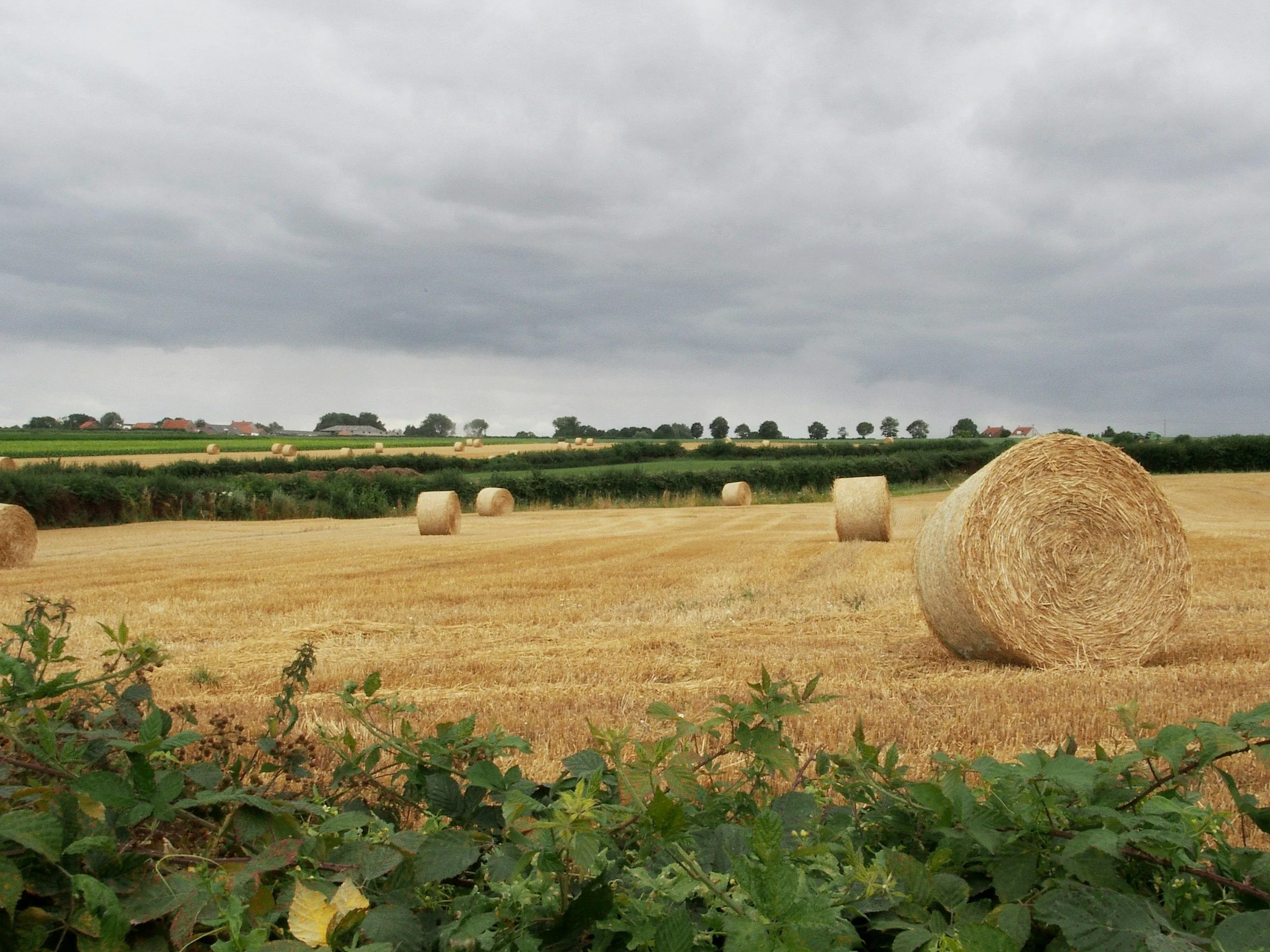 Fort Madison Fall Fun