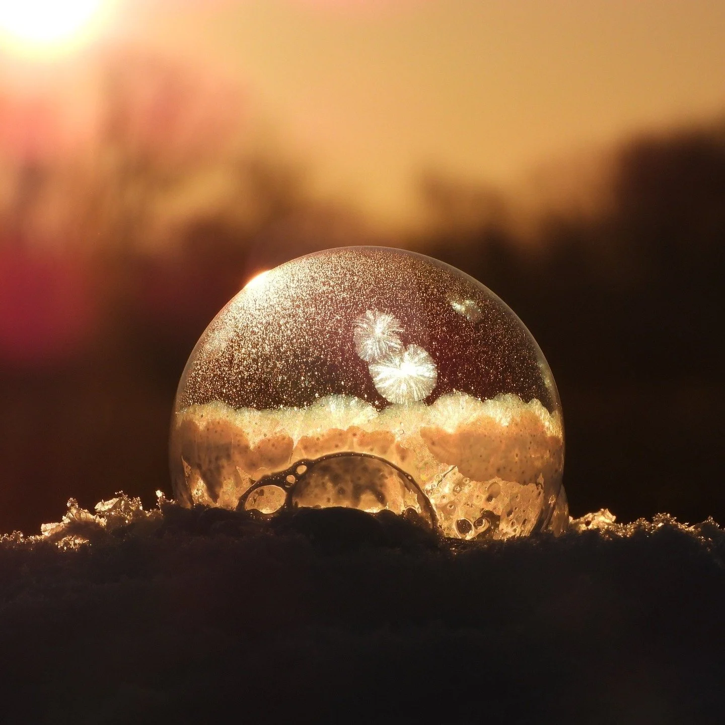 Cold weather bubbles

Photo credit: Jean Baxter Neuweg

#iowa #findyourfortmadison #winter #photographylovers #naturelovers