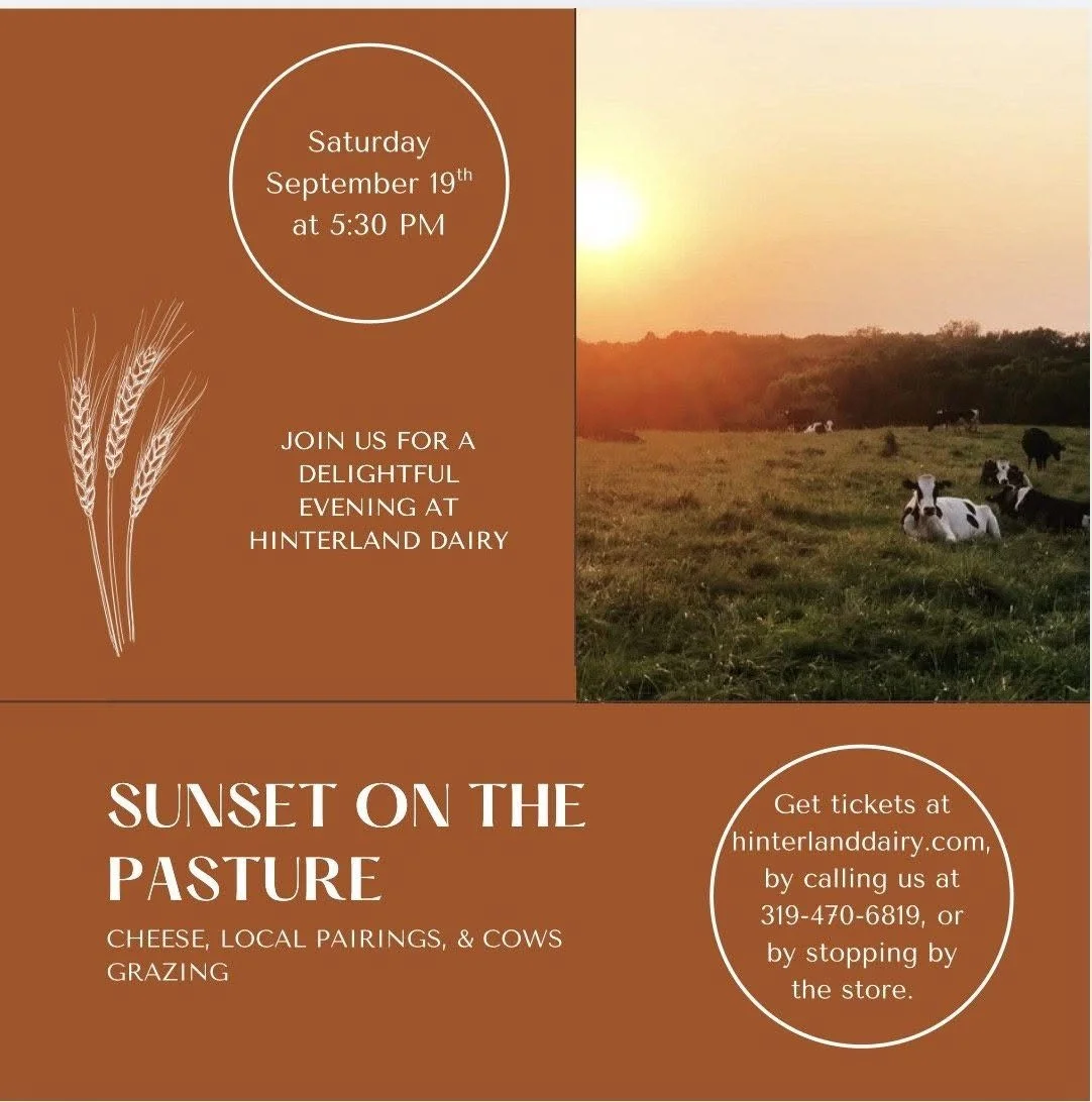 Sunset on the Pasture