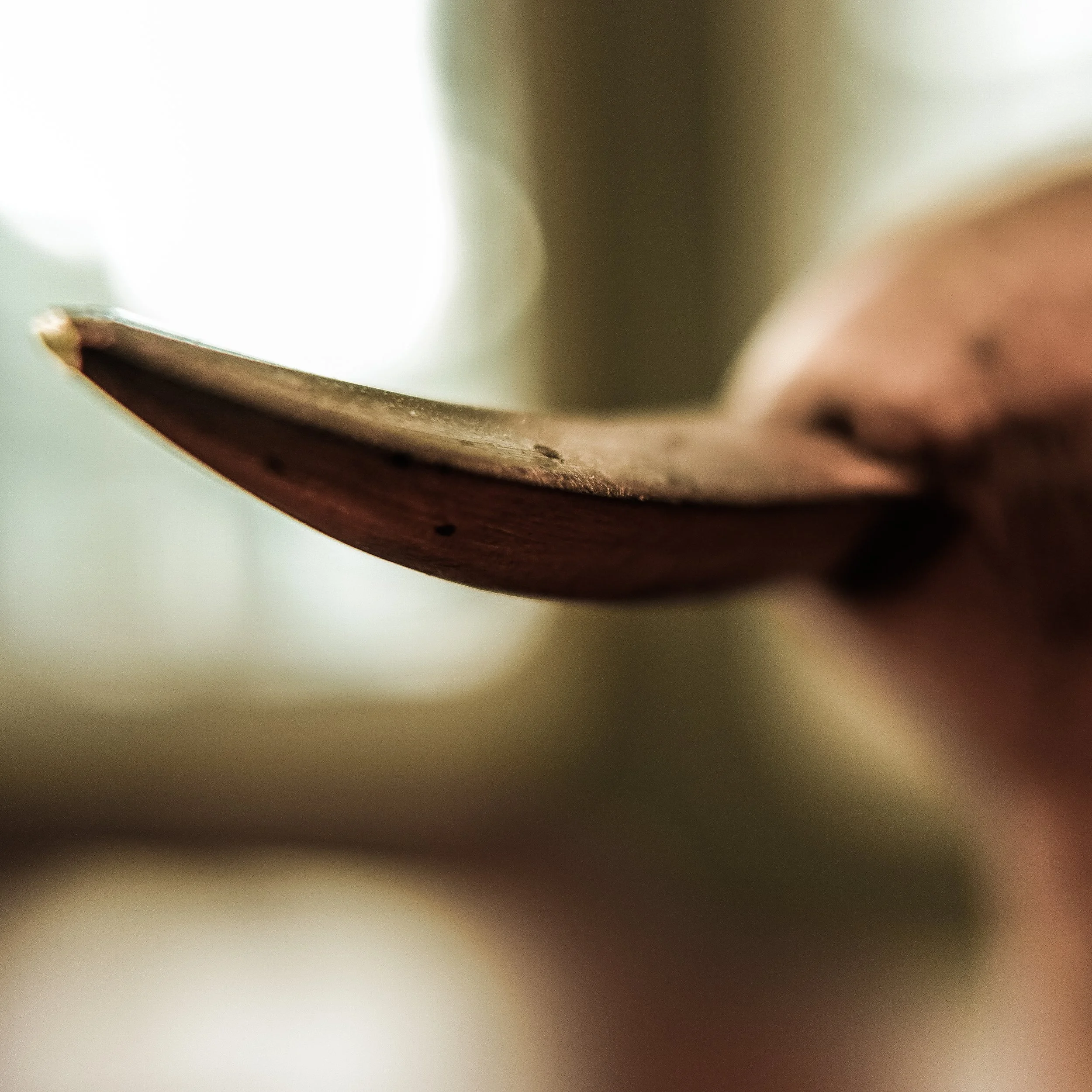 Brass Duck Bill on Wooden Figure in Sepia