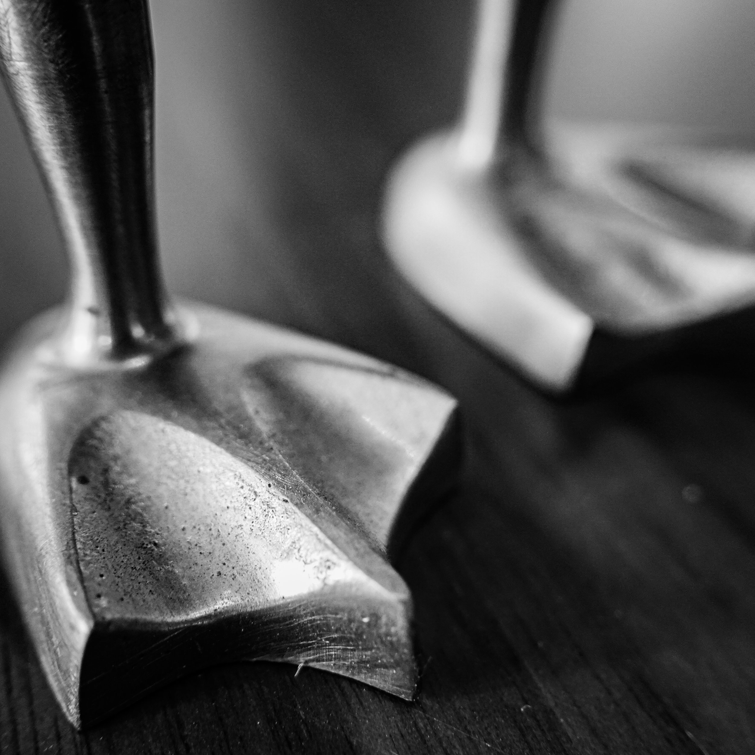 Brass Duck Feet in the Morning