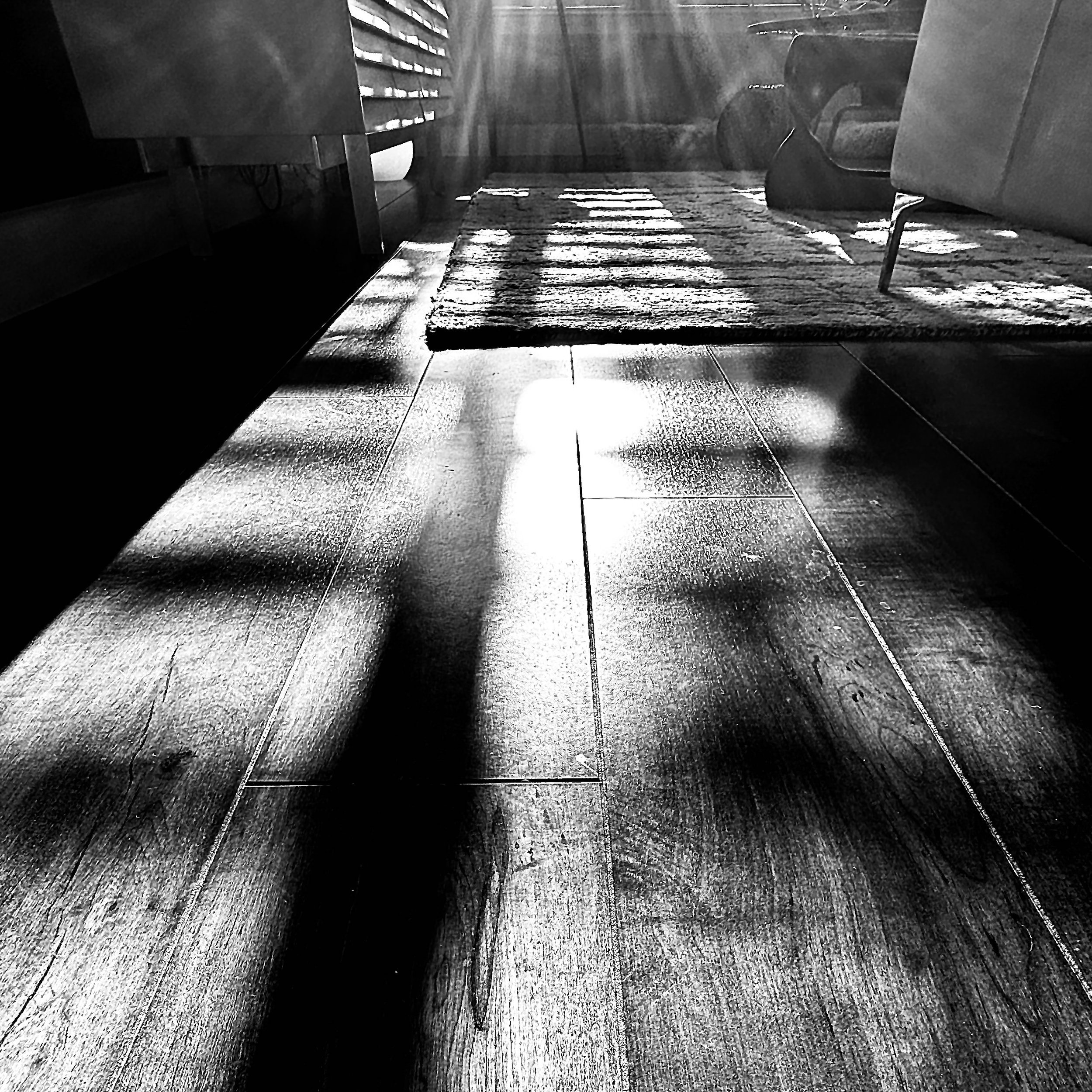Morning Shadows Across a Spring Morning 