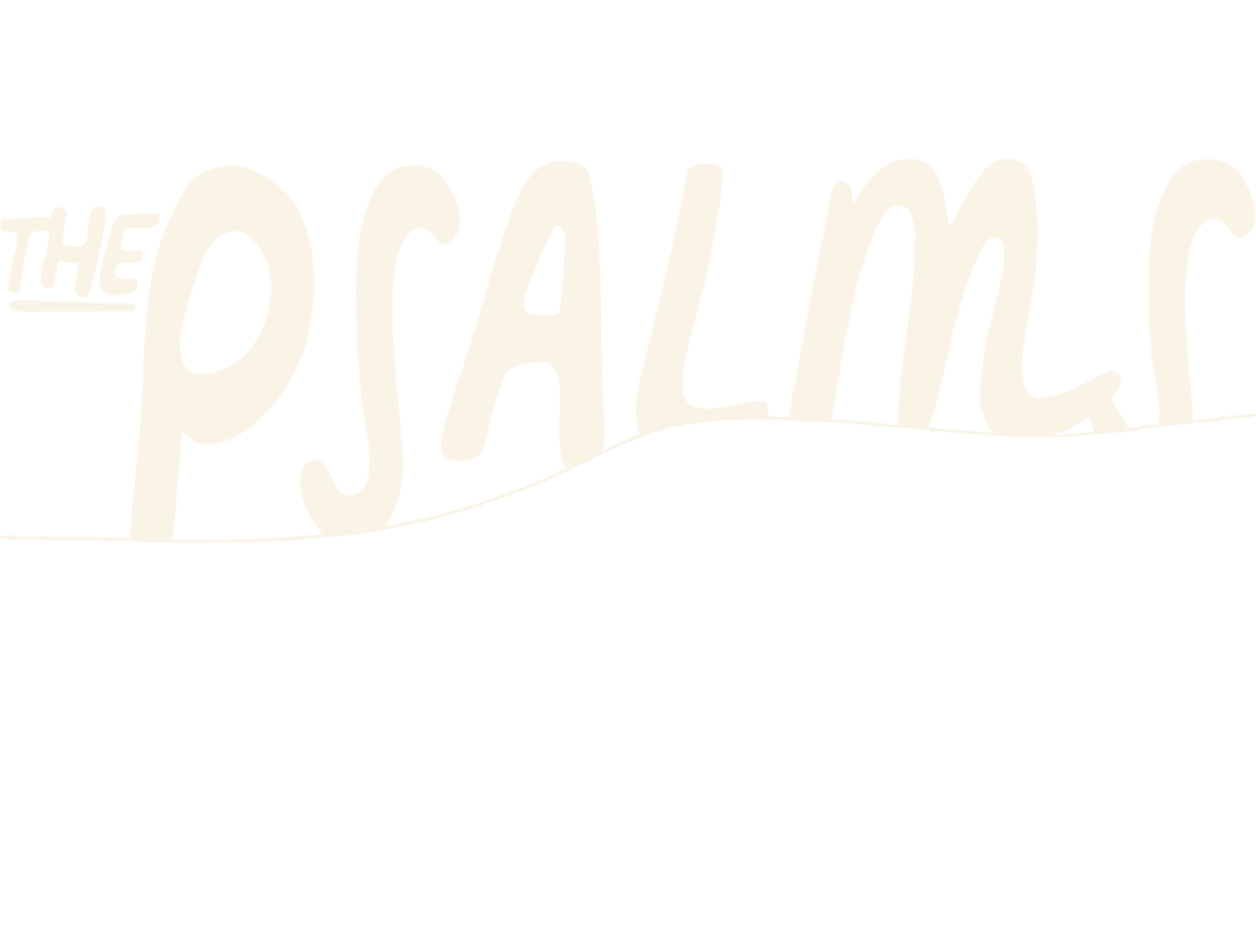 A black background with white stylized text saying "The Official" in a cursive font.